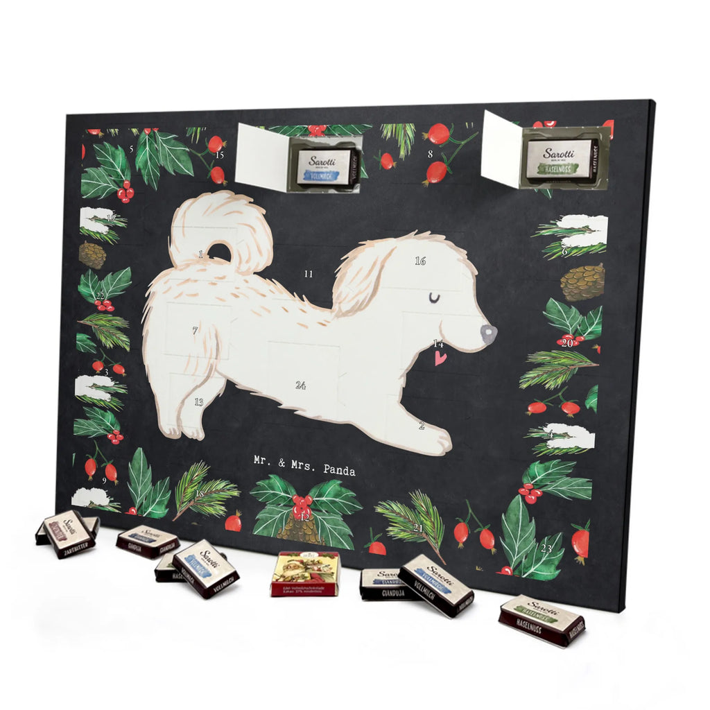 Chocolate advent calendar Maltipoo Moment puppy, dog owner, purebred dog, dog breed, giving, animal lover, gift