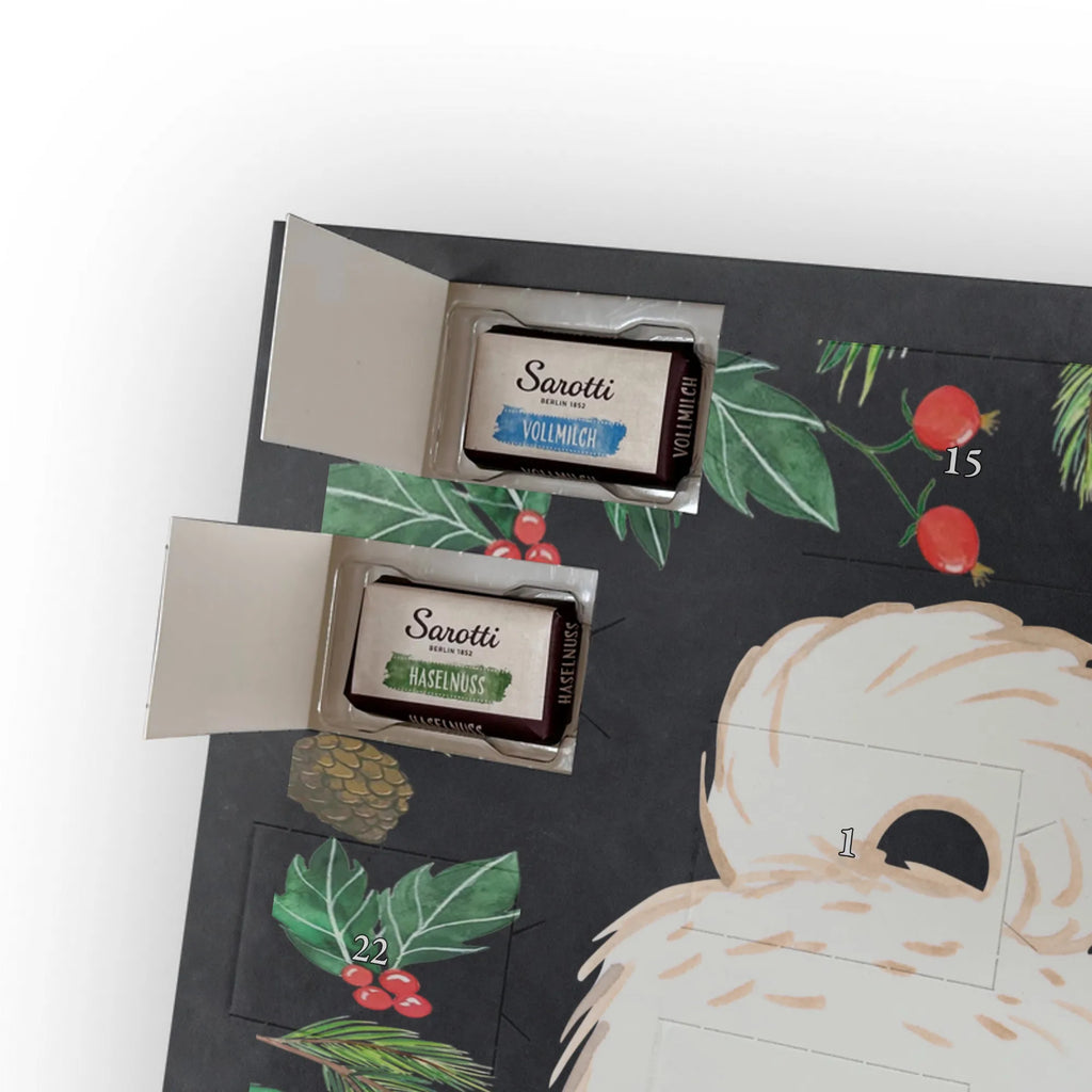 Chocolate advent calendar Maltipoo Moment puppy, dog owner, purebred dog, dog breed, giving, animal lover, gift