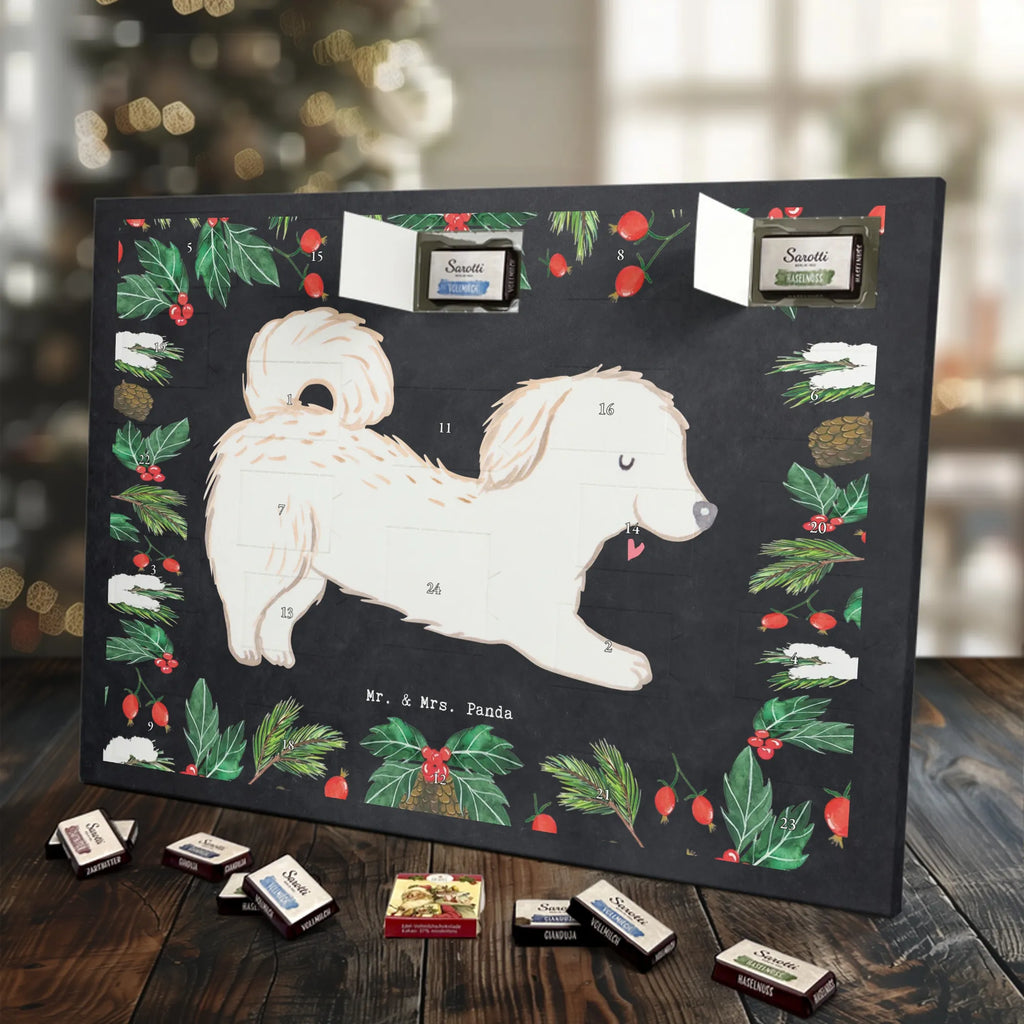 Chocolate advent calendar Maltipoo Moment puppy, dog owner, purebred dog, dog breed, giving, animal lover, gift