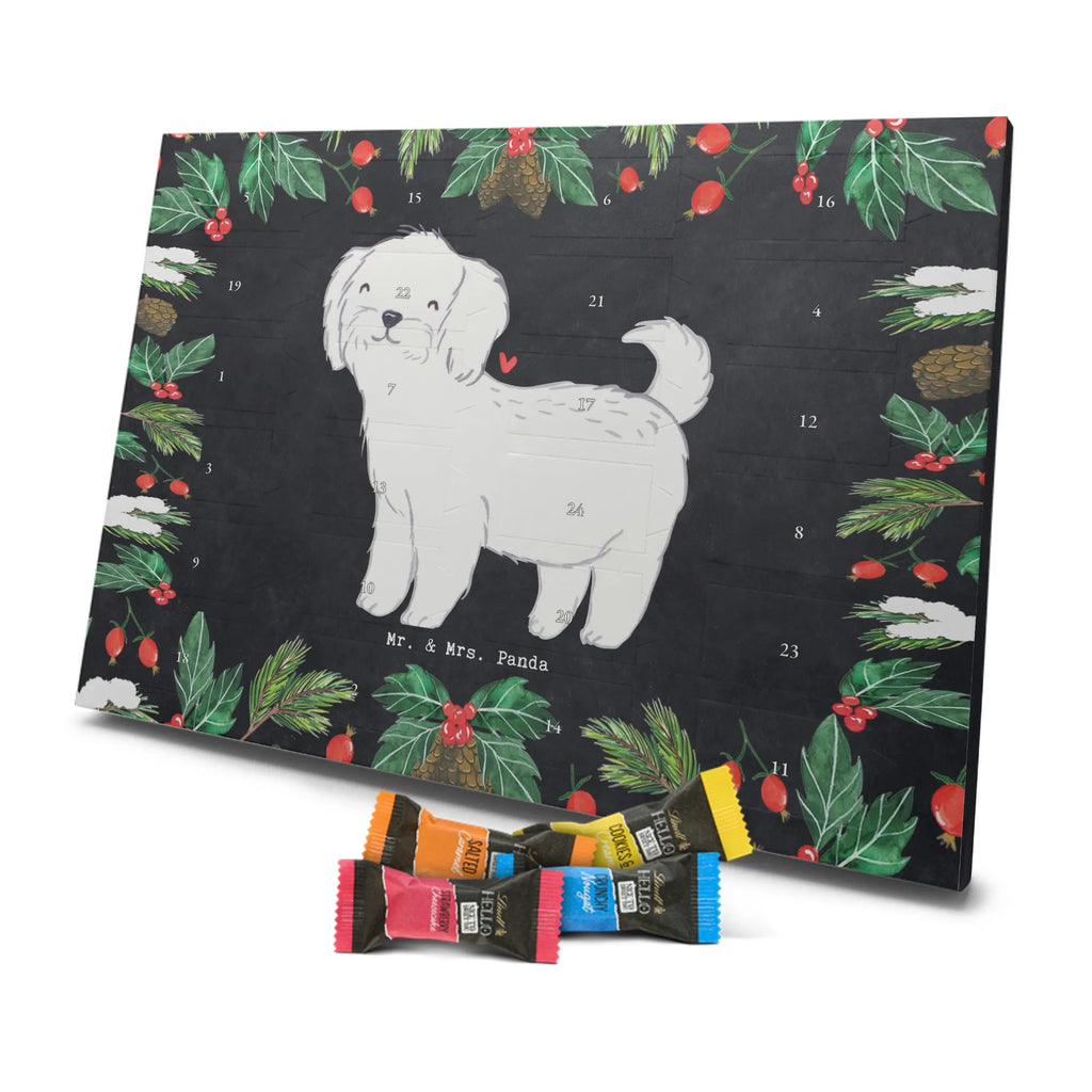 Adventskalender Malteser Moment Weihnachtskalender Schokolade, adventskalender mit pralinen, adventskalender süßigkeiten, weihnachtskalender schoko, Schoko Adventskalender, adventskalender pralinen, schokokalender, pralinen adventskalender, Schokoladen Adventskalender, schoko weihnachtskalender, advent kalender, kalender schokolade, adventskalender mit schokolade, süßigkeiten adventskalender, schoko kalender, Adventskalender Schokolade, süßigkeiten kalender, adventskalender mit süßigkeiten, Weihnachtskalender, Adventskalender, schokoladenkalender, schokolade adventskalender, schokoladen kalender, Welpe, Tierfreund, Hundebesitzer, Rassehund, Hunderasse, Hund, Schenken, Geschenk, Malteser