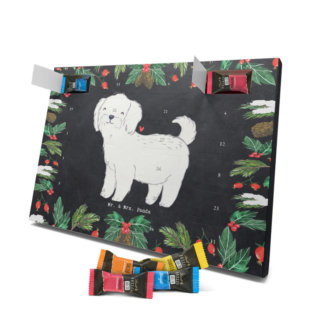Adventskalender Malteser Moment Weihnachtskalender Schokolade, adventskalender mit pralinen, adventskalender süßigkeiten, weihnachtskalender schoko, Schoko Adventskalender, adventskalender pralinen, schokokalender, pralinen adventskalender, Schokoladen Adventskalender, schoko weihnachtskalender, advent kalender, kalender schokolade, adventskalender mit schokolade, süßigkeiten adventskalender, schoko kalender, Adventskalender Schokolade, süßigkeiten kalender, adventskalender mit süßigkeiten, Weihnachtskalender, Adventskalender, schokoladenkalender, schokolade adventskalender, schokoladen kalender, Welpe, Tierfreund, Hundebesitzer, Rassehund, Hunderasse, Hund, Schenken, Geschenk, Malteser