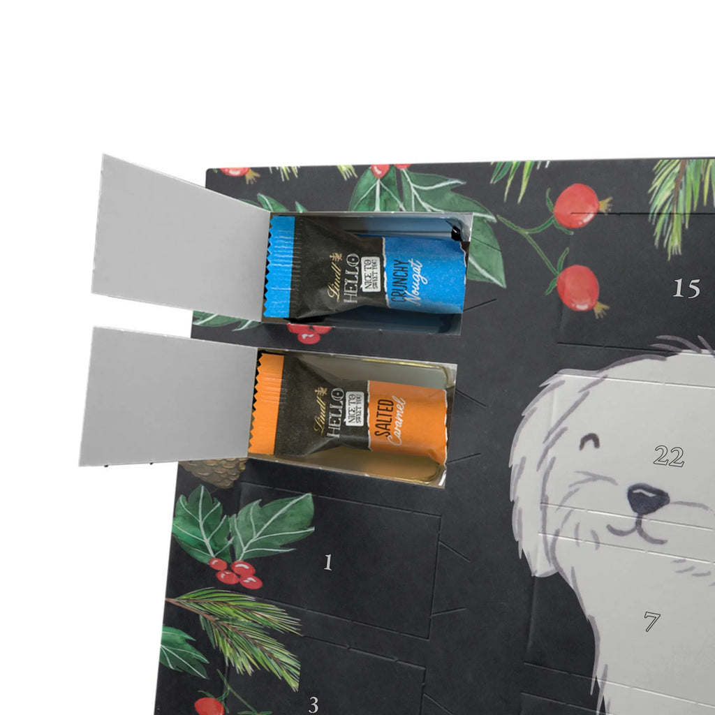 Adventskalender Malteser Moment Weihnachtskalender Schokolade, adventskalender mit pralinen, adventskalender süßigkeiten, weihnachtskalender schoko, Schoko Adventskalender, adventskalender pralinen, schokokalender, pralinen adventskalender, Schokoladen Adventskalender, schoko weihnachtskalender, advent kalender, kalender schokolade, adventskalender mit schokolade, süßigkeiten adventskalender, schoko kalender, Adventskalender Schokolade, süßigkeiten kalender, adventskalender mit süßigkeiten, Weihnachtskalender, Adventskalender, schokoladenkalender, schokolade adventskalender, schokoladen kalender, Welpe, Tierfreund, Hundebesitzer, Rassehund, Hunderasse, Hund, Schenken, Geschenk, Malteser