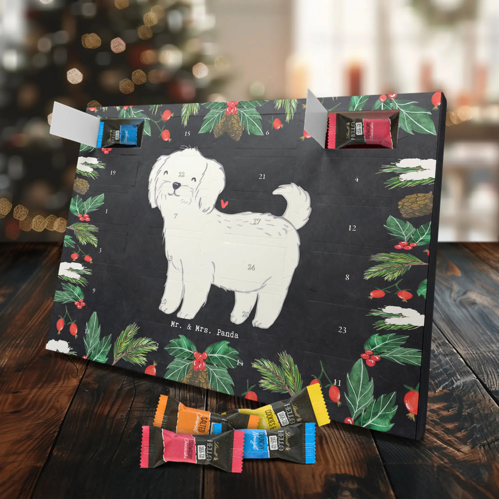 Adventskalender Malteser Moment Weihnachtskalender Schokolade, adventskalender mit pralinen, adventskalender süßigkeiten, weihnachtskalender schoko, Schoko Adventskalender, adventskalender pralinen, schokokalender, pralinen adventskalender, Schokoladen Adventskalender, schoko weihnachtskalender, advent kalender, kalender schokolade, adventskalender mit schokolade, süßigkeiten adventskalender, schoko kalender, Adventskalender Schokolade, süßigkeiten kalender, adventskalender mit süßigkeiten, Weihnachtskalender, Adventskalender, schokoladenkalender, schokolade adventskalender, schokoladen kalender, Welpe, Tierfreund, Hundebesitzer, Rassehund, Hunderasse, Hund, Schenken, Geschenk, Malteser