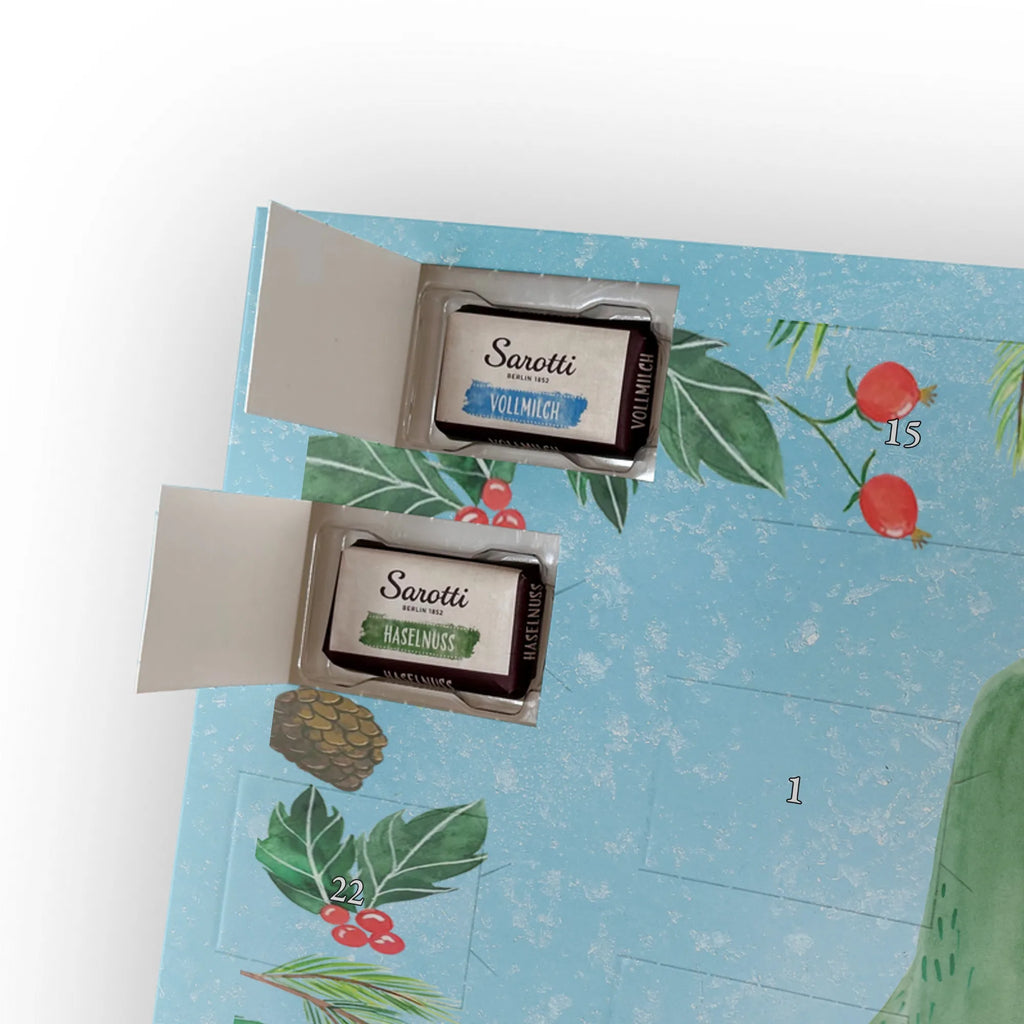 Chocolate advent calendar cactus Love cactus, cactuses, plants, small green cactus, cactus plant, couple, friendship, reconciliation, cactus love, proof of love, quarrel, love message, separation, wedding