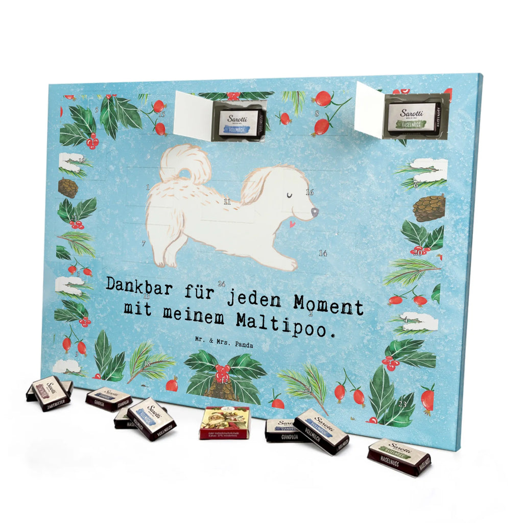 Chocolate advent calendar Maltipoo Moment puppy, dog owner, purebred dog, dog breed, giving, animal lover, gift