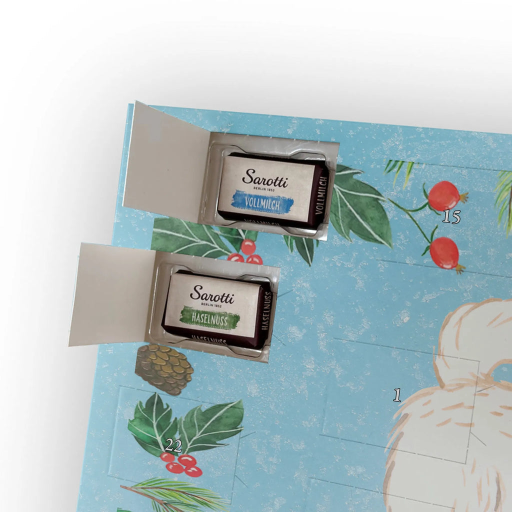 Chocolate advent calendar Maltipoo Moment puppy, dog owner, purebred dog, dog breed, giving, animal lover, gift