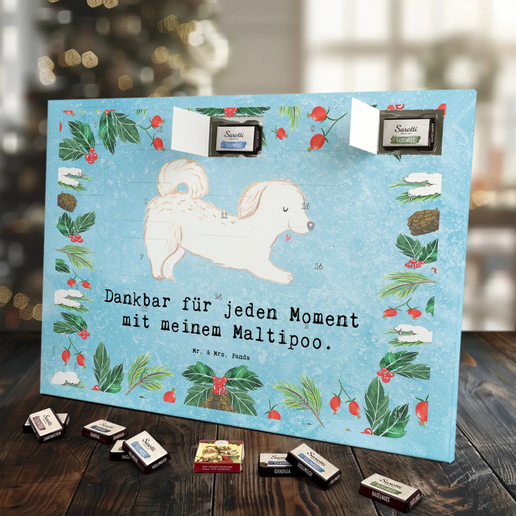 Chocolate advent calendar Maltipoo Moment puppy, dog owner, purebred dog, dog breed, giving, animal lover, gift