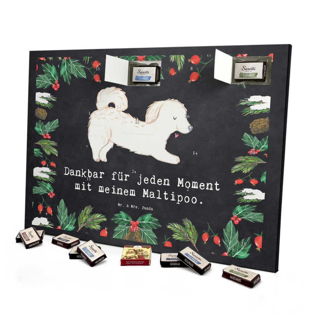 Chocolate advent calendar Maltipoo Moment puppy, dog owner, purebred dog, dog breed, giving, animal lover, gift