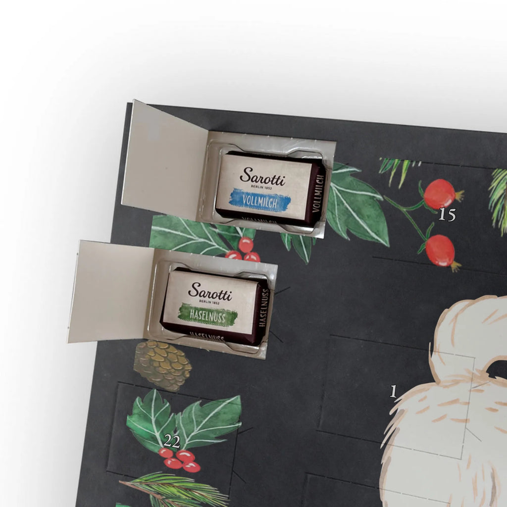 Chocolate advent calendar Maltipoo Moment puppy, dog owner, purebred dog, dog breed, giving, animal lover, gift