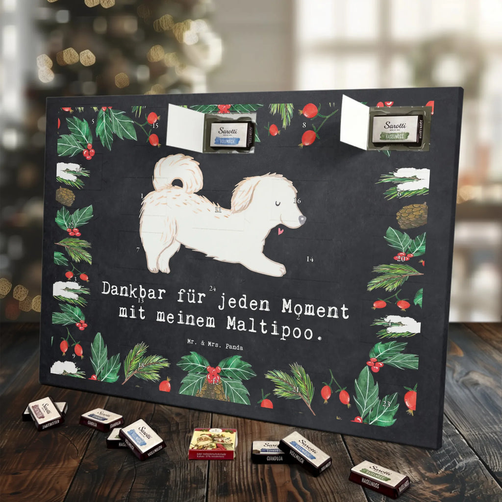 Chocolate advent calendar Maltipoo Moment puppy, dog owner, purebred dog, dog breed, giving, animal lover, gift