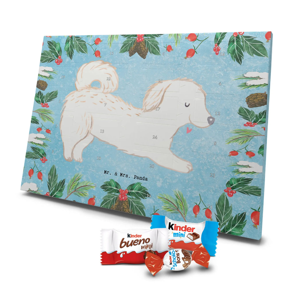 Chocolate advent calendar Maltipoo Moment puppy, dog owner, purebred dog, dog breed, giving, animal lover, gift