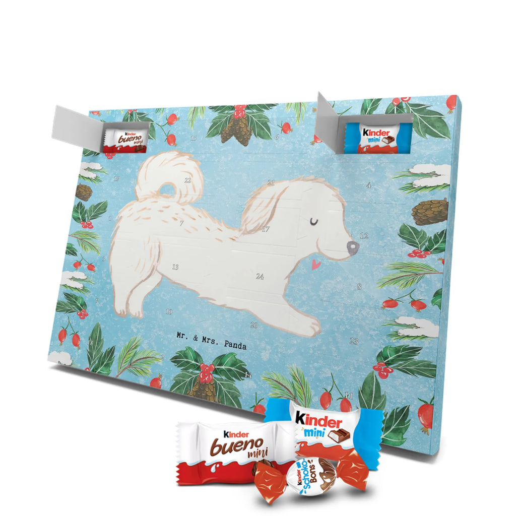 Chocolate advent calendar Maltipoo Moment puppy, dog owner, purebred dog, dog breed, giving, animal lover, gift