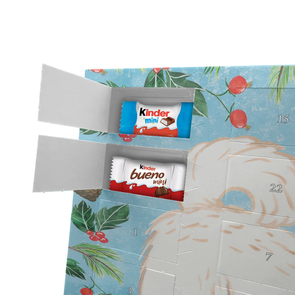 Chocolate advent calendar Maltipoo Moment puppy, dog owner, purebred dog, dog breed, giving, animal lover, gift