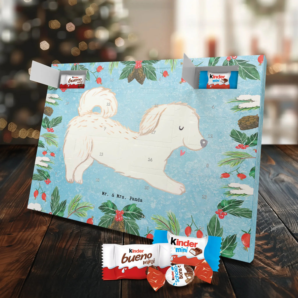 Chocolate advent calendar Maltipoo Moment puppy, dog owner, purebred dog, dog breed, giving, animal lover, gift