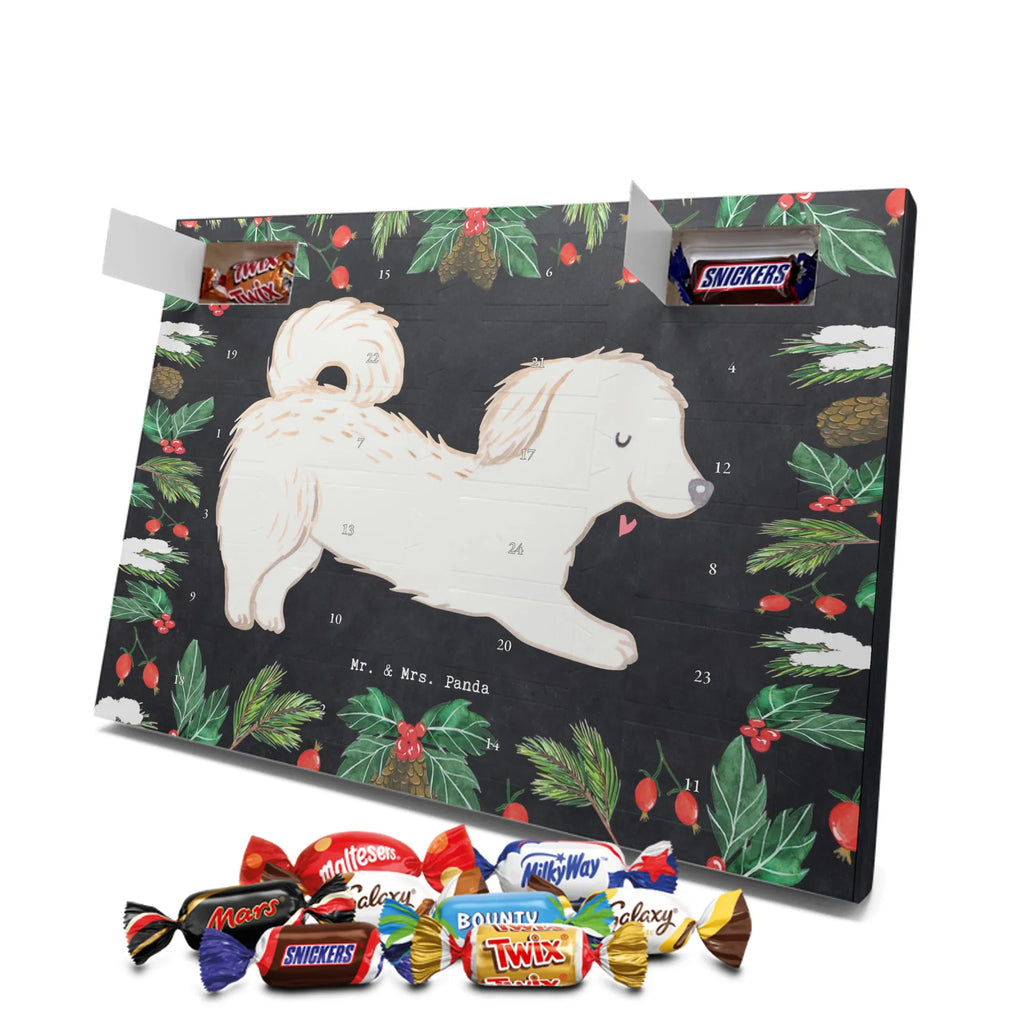 Chocolate advent calendar Maltipoo Moment puppy, dog owner, purebred dog, dog breed, giving, animal lover, gift