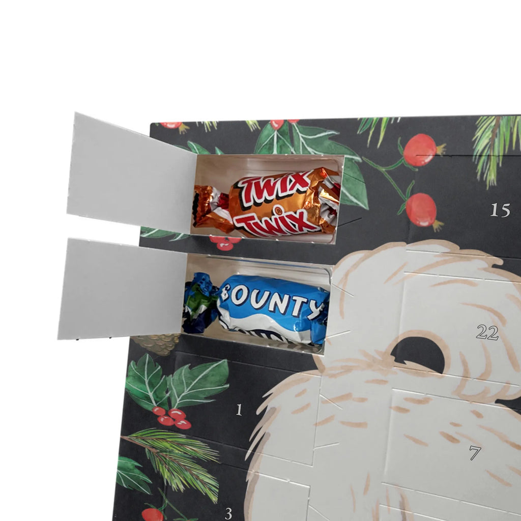 Chocolate advent calendar Maltipoo Moment puppy, dog owner, purebred dog, dog breed, giving, animal lover, gift