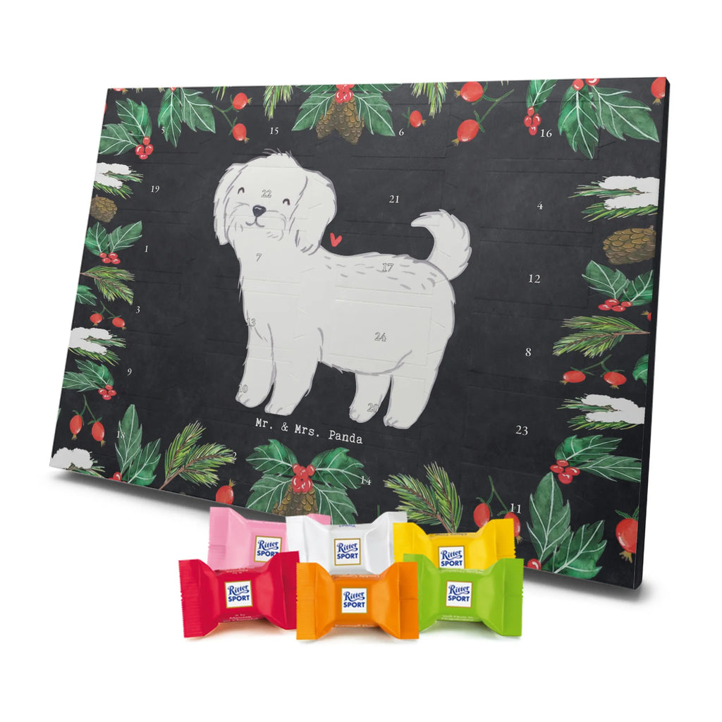 Adventskalender Malteser Moment Weihnachtskalender Schokolade, adventskalender mit pralinen, adventskalender süßigkeiten, weihnachtskalender schoko, Schoko Adventskalender, adventskalender pralinen, schokokalender, pralinen adventskalender, Schokoladen Adventskalender, schoko weihnachtskalender, advent kalender, kalender schokolade, adventskalender mit schokolade, süßigkeiten adventskalender, schoko kalender, Adventskalender Schokolade, süßigkeiten kalender, adventskalender mit süßigkeiten, Weihnachtskalender, Adventskalender, schokoladenkalender, schokolade adventskalender, schokoladen kalender, Welpe, Tierfreund, Hundebesitzer, Rassehund, Hunderasse, Hund, Schenken, Geschenk, Malteser