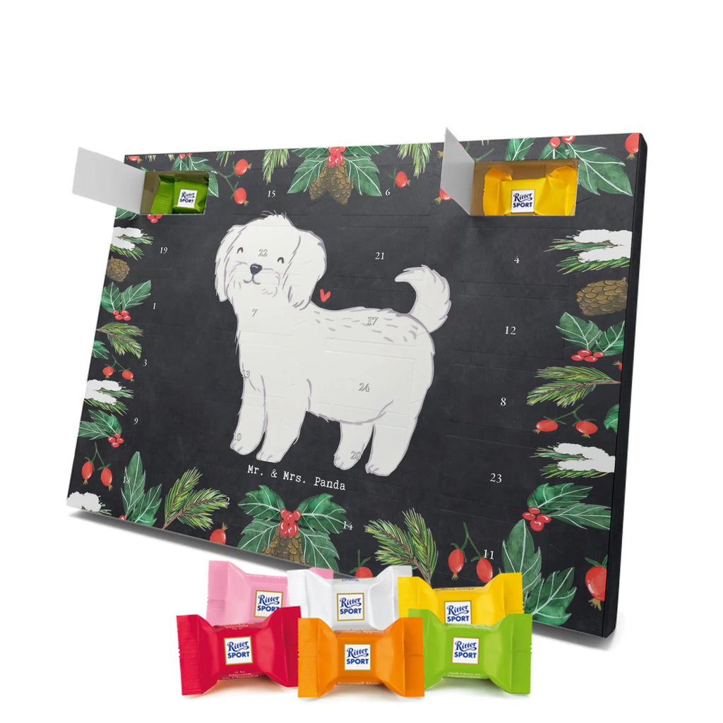 Adventskalender Malteser Moment Weihnachtskalender Schokolade, adventskalender mit pralinen, adventskalender süßigkeiten, weihnachtskalender schoko, Schoko Adventskalender, adventskalender pralinen, schokokalender, pralinen adventskalender, Schokoladen Adventskalender, schoko weihnachtskalender, advent kalender, kalender schokolade, adventskalender mit schokolade, süßigkeiten adventskalender, schoko kalender, Adventskalender Schokolade, süßigkeiten kalender, adventskalender mit süßigkeiten, Weihnachtskalender, Adventskalender, schokoladenkalender, schokolade adventskalender, schokoladen kalender, Welpe, Tierfreund, Hundebesitzer, Rassehund, Hunderasse, Hund, Schenken, Geschenk, Malteser