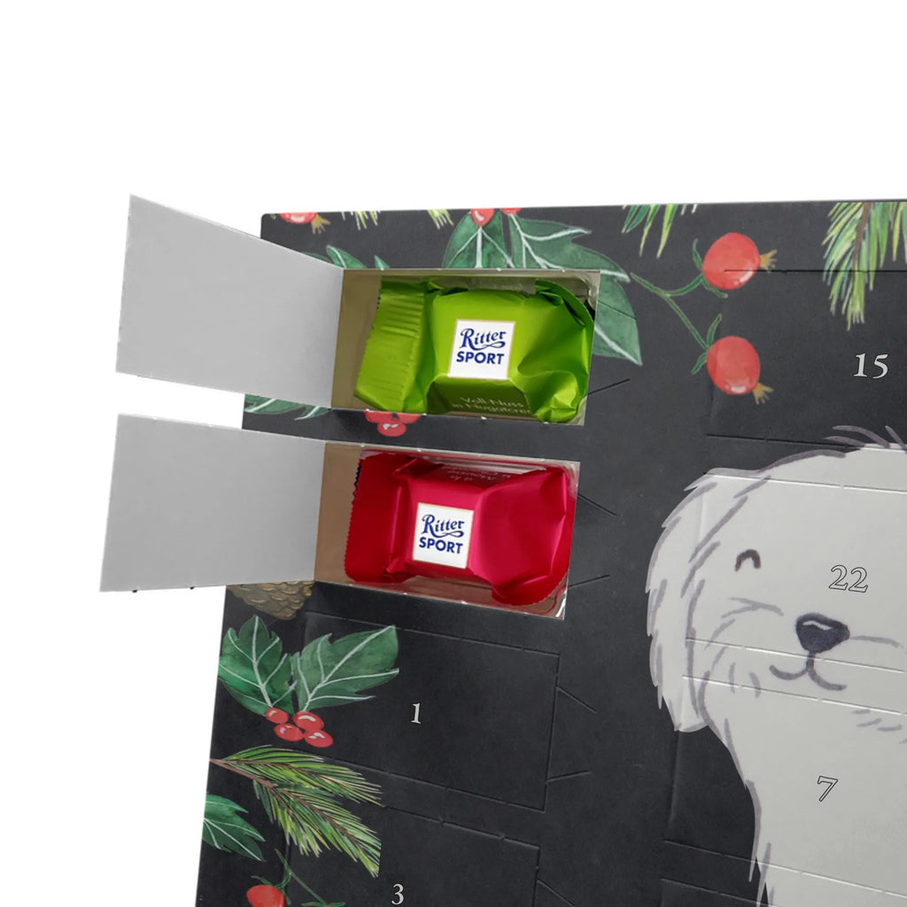 Adventskalender Malteser Moment Weihnachtskalender Schokolade, adventskalender mit pralinen, adventskalender süßigkeiten, weihnachtskalender schoko, Schoko Adventskalender, adventskalender pralinen, schokokalender, pralinen adventskalender, Schokoladen Adventskalender, schoko weihnachtskalender, advent kalender, kalender schokolade, adventskalender mit schokolade, süßigkeiten adventskalender, schoko kalender, Adventskalender Schokolade, süßigkeiten kalender, adventskalender mit süßigkeiten, Weihnachtskalender, Adventskalender, schokoladenkalender, schokolade adventskalender, schokoladen kalender, Welpe, Tierfreund, Hundebesitzer, Rassehund, Hunderasse, Hund, Schenken, Geschenk, Malteser