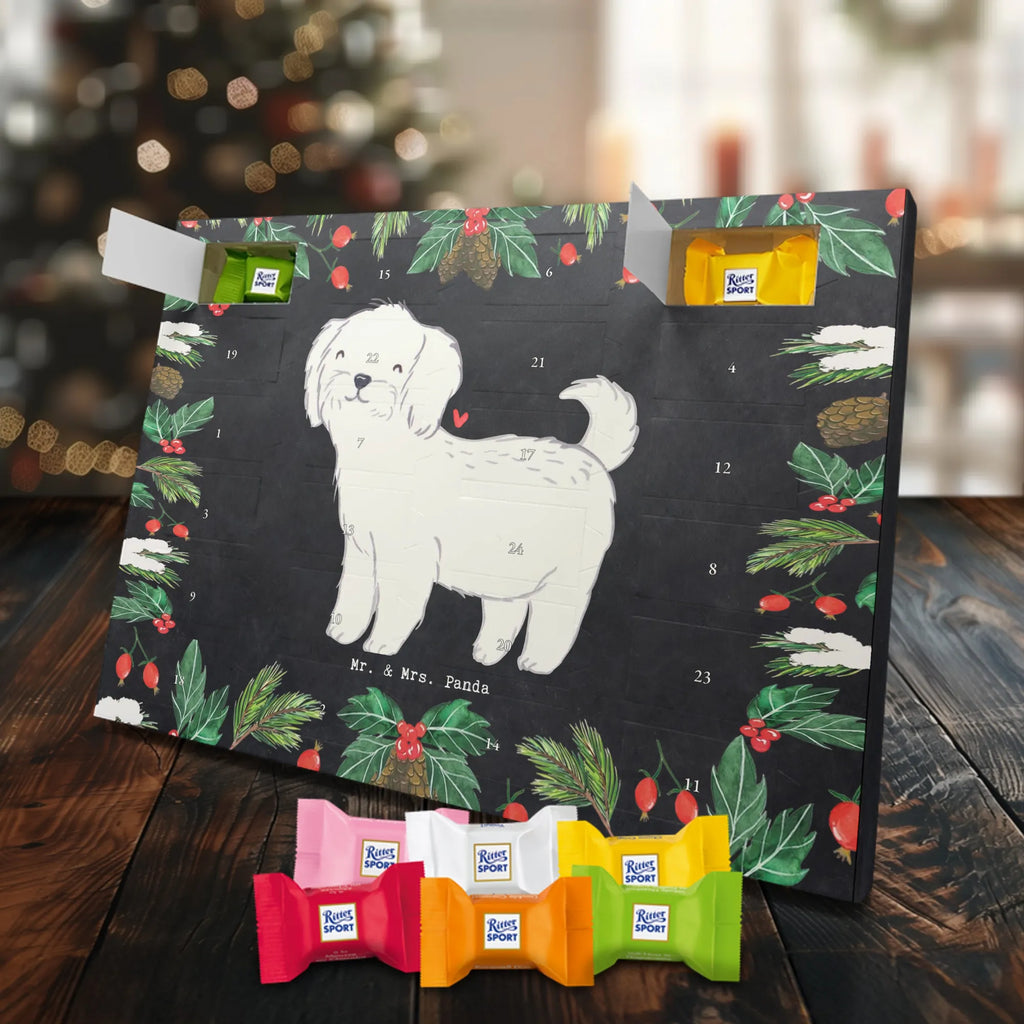 Adventskalender Malteser Moment Weihnachtskalender Schokolade, adventskalender mit pralinen, adventskalender süßigkeiten, weihnachtskalender schoko, Schoko Adventskalender, adventskalender pralinen, schokokalender, pralinen adventskalender, Schokoladen Adventskalender, schoko weihnachtskalender, advent kalender, kalender schokolade, adventskalender mit schokolade, süßigkeiten adventskalender, schoko kalender, Adventskalender Schokolade, süßigkeiten kalender, adventskalender mit süßigkeiten, Weihnachtskalender, Adventskalender, schokoladenkalender, schokolade adventskalender, schokoladen kalender, Welpe, Tierfreund, Hundebesitzer, Rassehund, Hunderasse, Hund, Schenken, Geschenk, Malteser