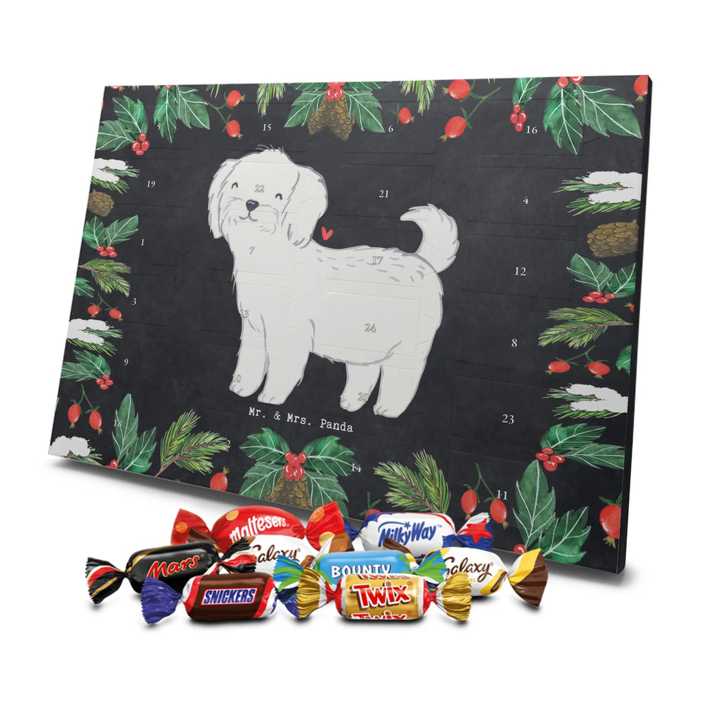 Adventskalender Malteser Moment Weihnachtskalender Schokolade, adventskalender mit pralinen, adventskalender süßigkeiten, weihnachtskalender schoko, Schoko Adventskalender, adventskalender pralinen, schokokalender, pralinen adventskalender, Schokoladen Adventskalender, schoko weihnachtskalender, advent kalender, kalender schokolade, adventskalender mit schokolade, süßigkeiten adventskalender, schoko kalender, Adventskalender Schokolade, süßigkeiten kalender, adventskalender mit süßigkeiten, Weihnachtskalender, Adventskalender, schokoladenkalender, schokolade adventskalender, schokoladen kalender, Welpe, Tierfreund, Hundebesitzer, Rassehund, Hunderasse, Hund, Schenken, Geschenk, Malteser