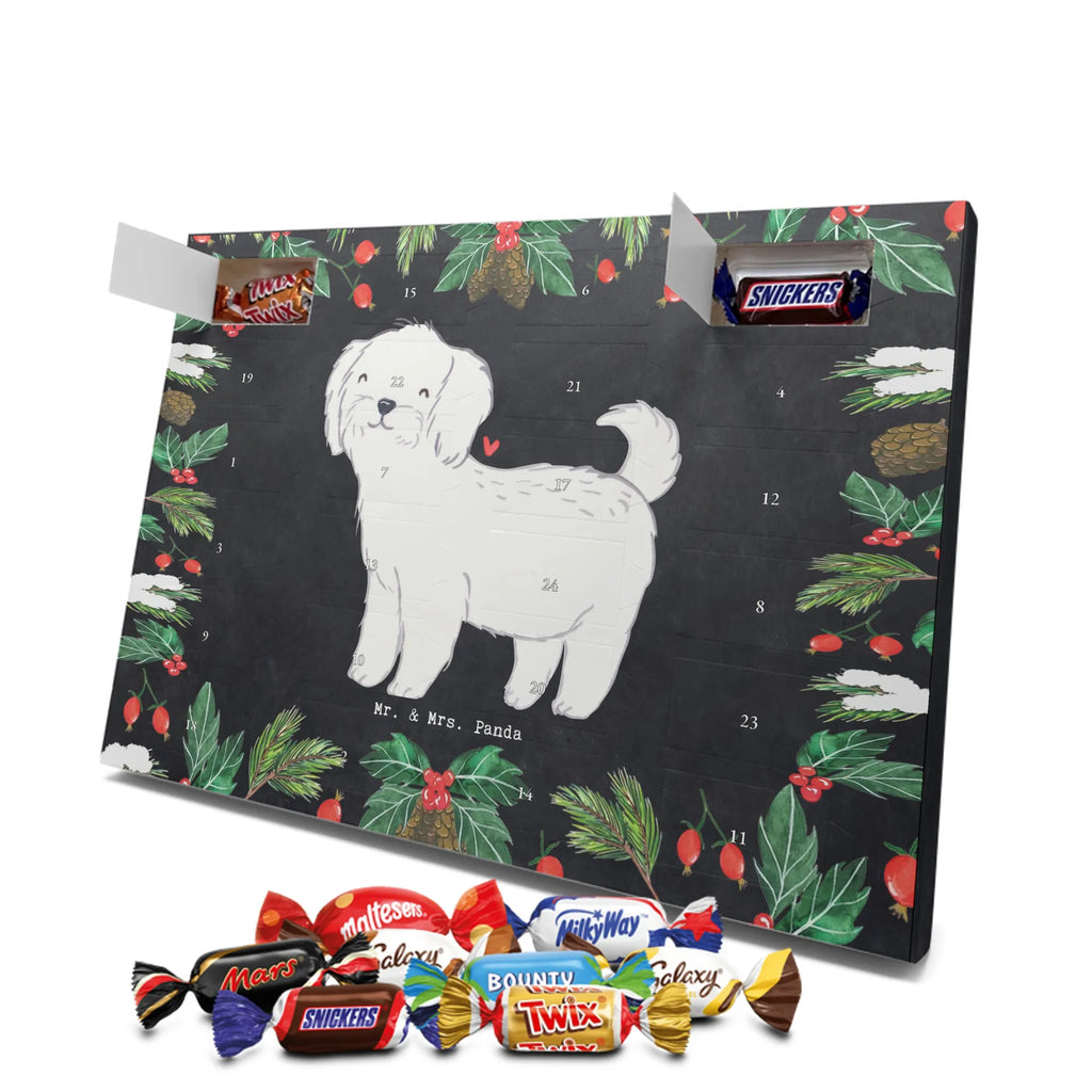 Adventskalender Malteser Moment Weihnachtskalender Schokolade, adventskalender mit pralinen, adventskalender süßigkeiten, weihnachtskalender schoko, Schoko Adventskalender, adventskalender pralinen, schokokalender, pralinen adventskalender, Schokoladen Adventskalender, schoko weihnachtskalender, advent kalender, kalender schokolade, adventskalender mit schokolade, süßigkeiten adventskalender, schoko kalender, Adventskalender Schokolade, süßigkeiten kalender, adventskalender mit süßigkeiten, Weihnachtskalender, Adventskalender, schokoladenkalender, schokolade adventskalender, schokoladen kalender, Welpe, Tierfreund, Hundebesitzer, Rassehund, Hunderasse, Hund, Schenken, Geschenk, Malteser