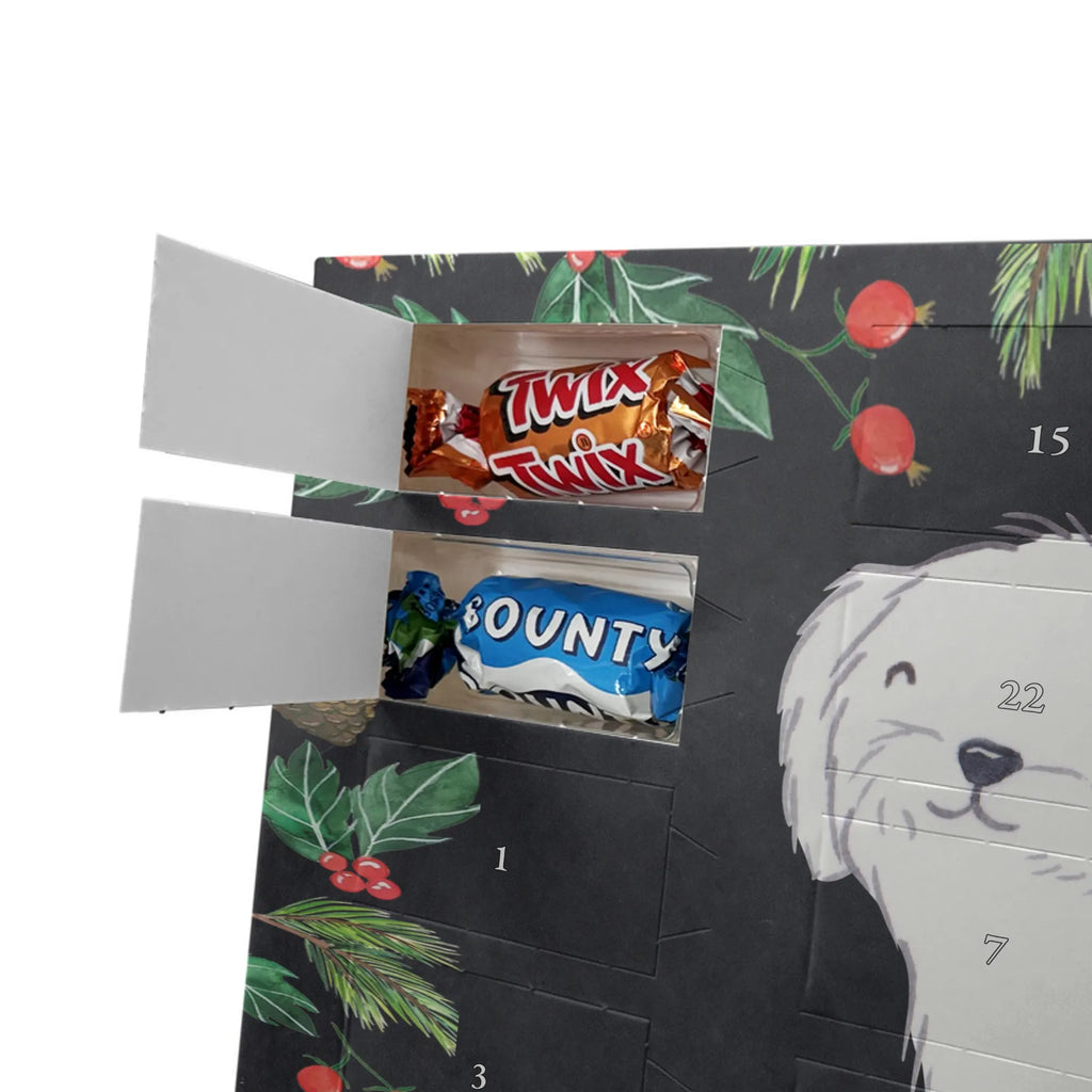 Adventskalender Malteser Moment Weihnachtskalender Schokolade, adventskalender mit pralinen, adventskalender süßigkeiten, weihnachtskalender schoko, Schoko Adventskalender, adventskalender pralinen, schokokalender, pralinen adventskalender, Schokoladen Adventskalender, schoko weihnachtskalender, advent kalender, kalender schokolade, adventskalender mit schokolade, süßigkeiten adventskalender, schoko kalender, Adventskalender Schokolade, süßigkeiten kalender, adventskalender mit süßigkeiten, Weihnachtskalender, Adventskalender, schokoladenkalender, schokolade adventskalender, schokoladen kalender, Welpe, Tierfreund, Hundebesitzer, Rassehund, Hunderasse, Hund, Schenken, Geschenk, Malteser