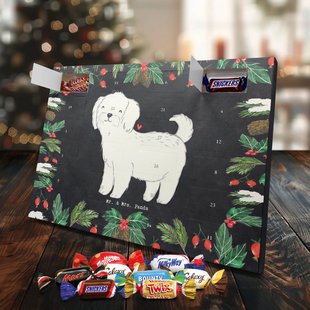 Adventskalender Malteser Moment Weihnachtskalender Schokolade, adventskalender mit pralinen, adventskalender süßigkeiten, weihnachtskalender schoko, Schoko Adventskalender, adventskalender pralinen, schokokalender, pralinen adventskalender, Schokoladen Adventskalender, schoko weihnachtskalender, advent kalender, kalender schokolade, adventskalender mit schokolade, süßigkeiten adventskalender, schoko kalender, Adventskalender Schokolade, süßigkeiten kalender, adventskalender mit süßigkeiten, Weihnachtskalender, Adventskalender, schokoladenkalender, schokolade adventskalender, schokoladen kalender, Welpe, Tierfreund, Hundebesitzer, Rassehund, Hunderasse, Hund, Schenken, Geschenk, Malteser