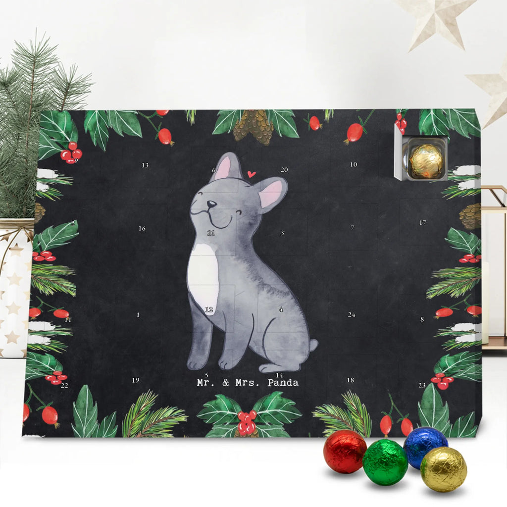 Chocolate advent calendar French Bulldog Moment puppy, dog owner, purebred dog, dog breed, giving, animal lover, gift