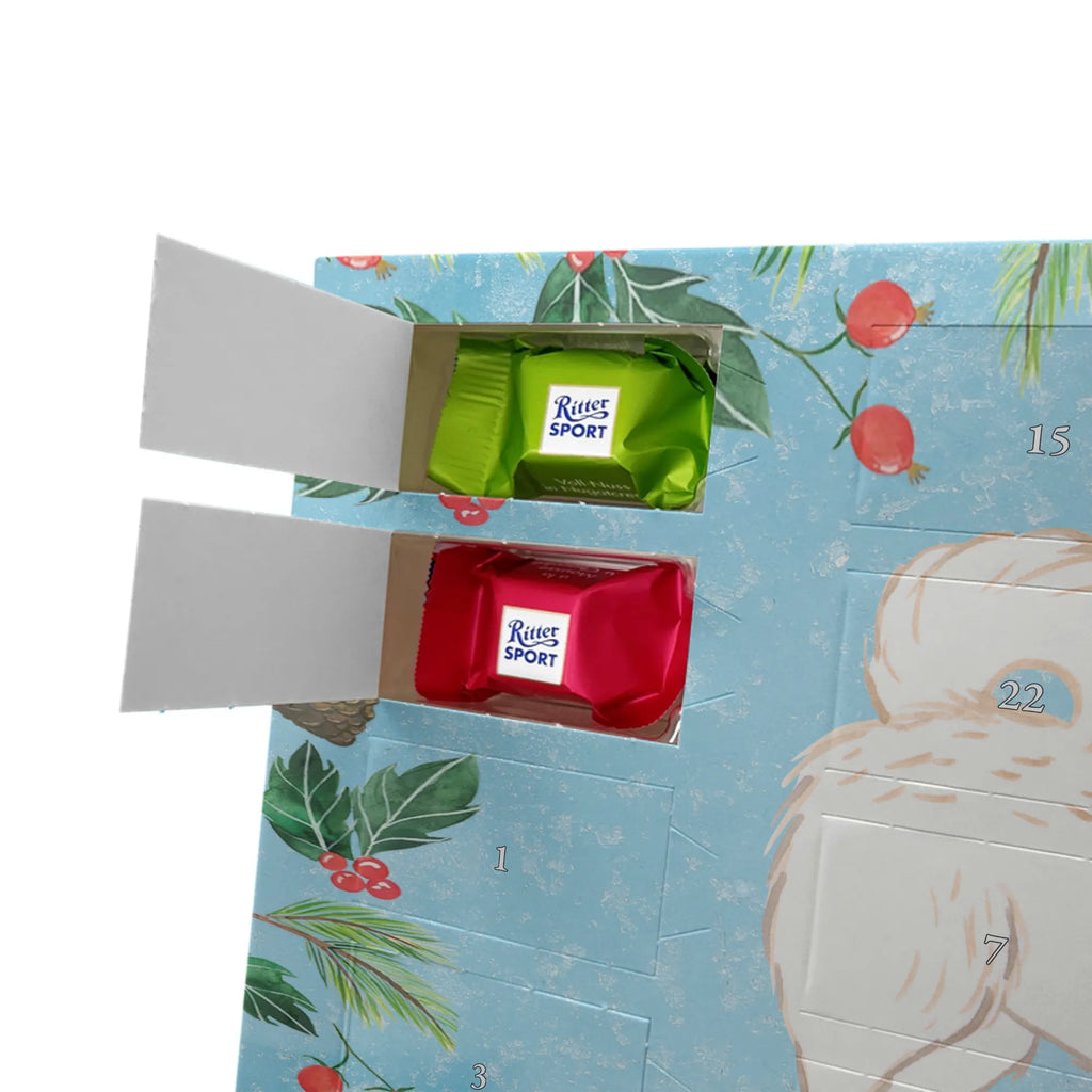 Chocolate advent calendar Maltipoo Moment puppy, dog owner, purebred dog, dog breed, giving, animal lover, gift