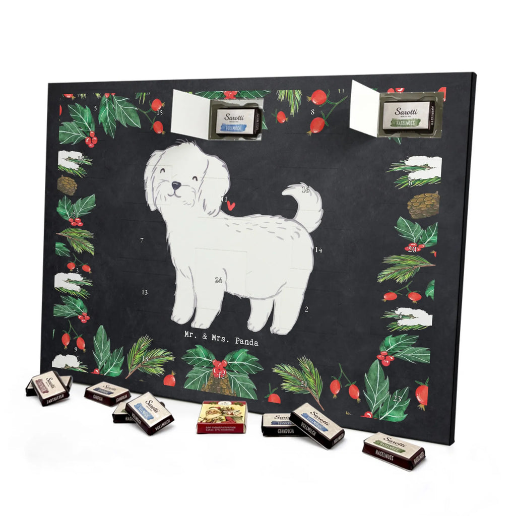 Adventskalender Malteser Moment Weihnachtskalender Schokolade, adventskalender mit pralinen, adventskalender süßigkeiten, weihnachtskalender schoko, Schoko Adventskalender, adventskalender pralinen, schokokalender, pralinen adventskalender, Schokoladen Adventskalender, schoko weihnachtskalender, advent kalender, kalender schokolade, adventskalender mit schokolade, süßigkeiten adventskalender, schoko kalender, Adventskalender Schokolade, süßigkeiten kalender, adventskalender mit süßigkeiten, Weihnachtskalender, Adventskalender, schokoladenkalender, schokolade adventskalender, schokoladen kalender, Welpe, Tierfreund, Hundebesitzer, Rassehund, Hunderasse, Hund, Schenken, Geschenk, Malteser