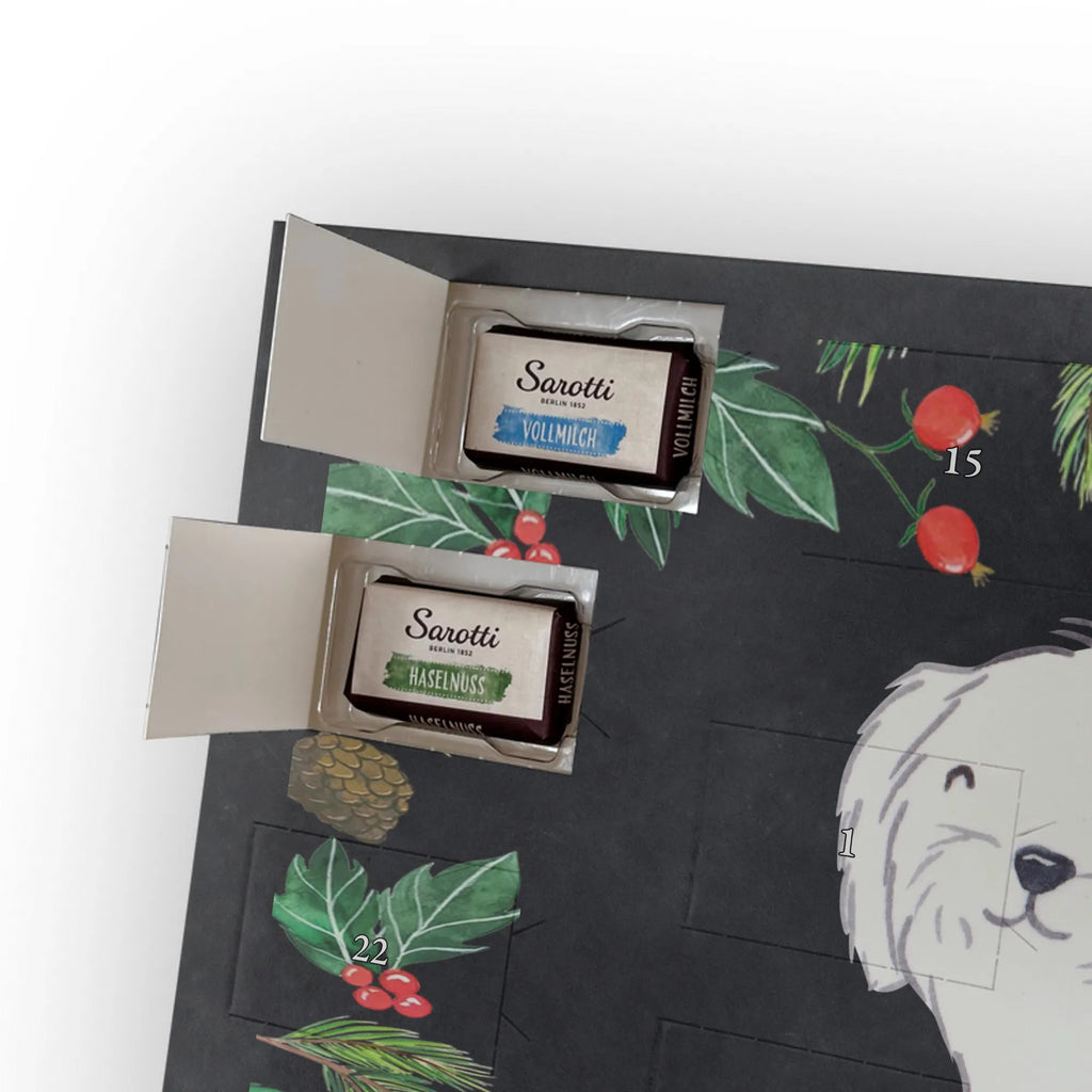 Adventskalender Malteser Moment Weihnachtskalender Schokolade, adventskalender mit pralinen, adventskalender süßigkeiten, weihnachtskalender schoko, Schoko Adventskalender, adventskalender pralinen, schokokalender, pralinen adventskalender, Schokoladen Adventskalender, schoko weihnachtskalender, advent kalender, kalender schokolade, adventskalender mit schokolade, süßigkeiten adventskalender, schoko kalender, Adventskalender Schokolade, süßigkeiten kalender, adventskalender mit süßigkeiten, Weihnachtskalender, Adventskalender, schokoladenkalender, schokolade adventskalender, schokoladen kalender, Welpe, Tierfreund, Hundebesitzer, Rassehund, Hunderasse, Hund, Schenken, Geschenk, Malteser