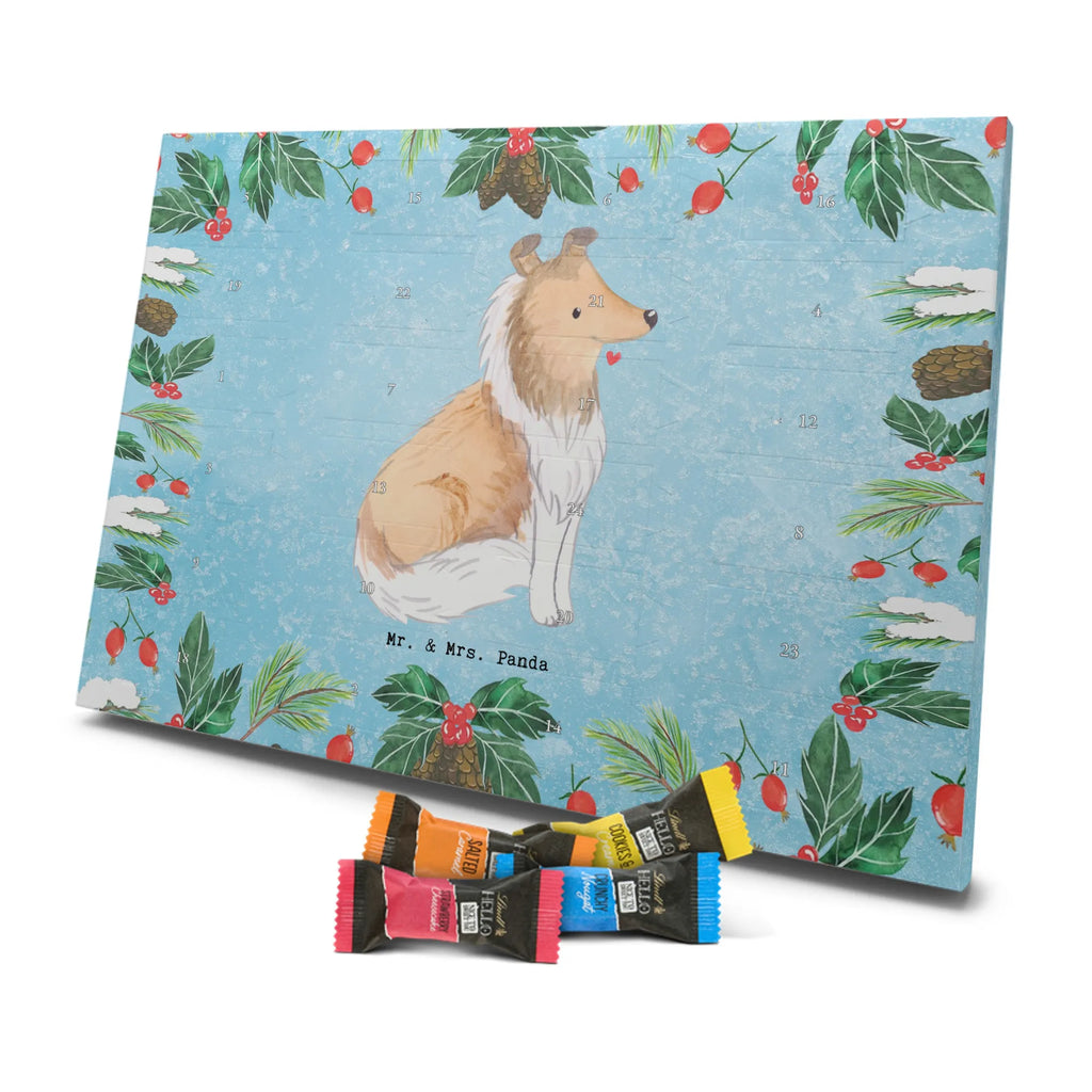 Chocolate advent calendar Long-haired Collie Moment puppy, dog owner, purebred dog, dog breed, giving, animal lover, gift