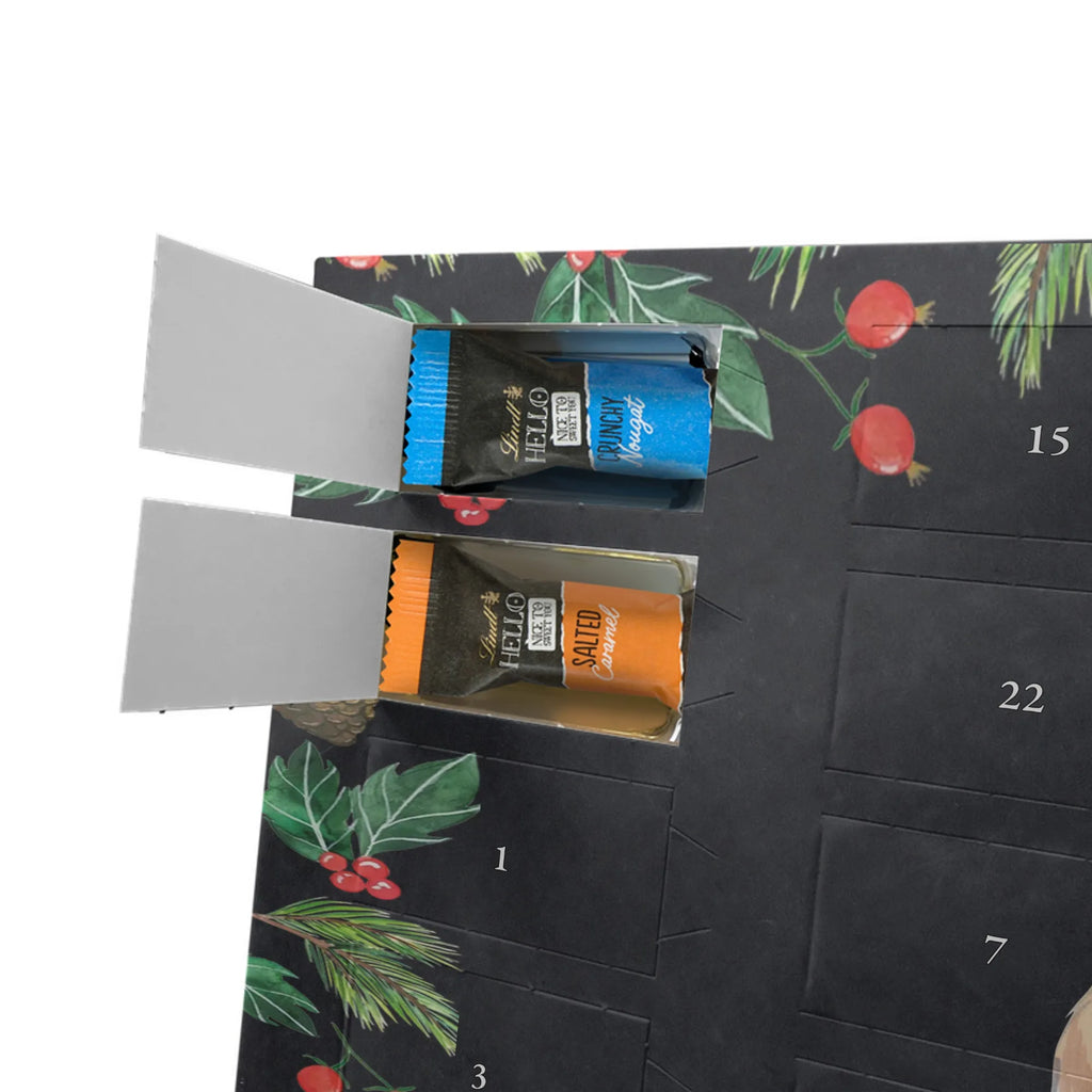 Chocolate advent calendar Long-haired Collie Moment puppy, dog owner, purebred dog, dog breed, giving, animal lover, gift