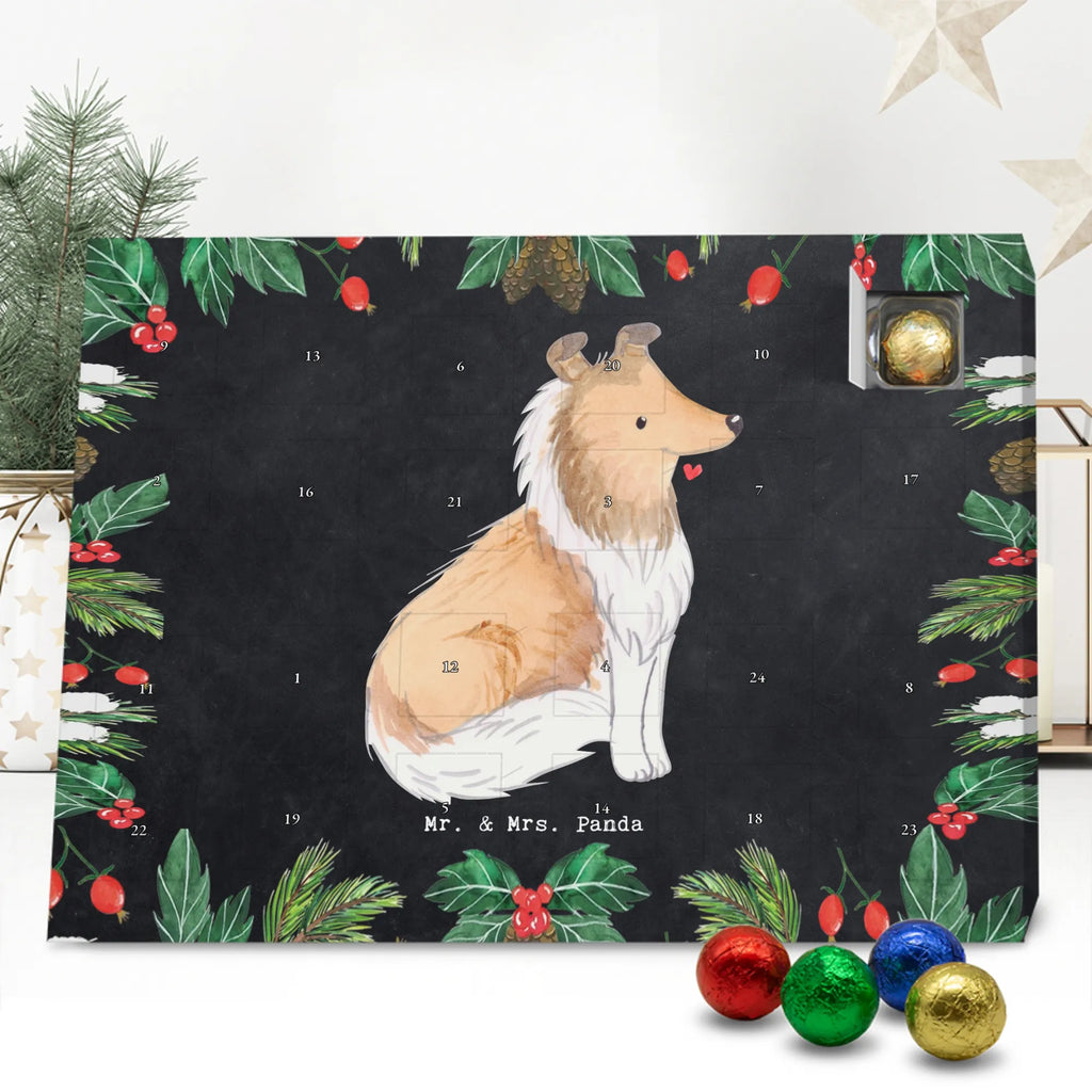 Chocolate advent calendar Long-haired Collie Moment puppy, dog owner, purebred dog, dog breed, giving, animal lover, gift