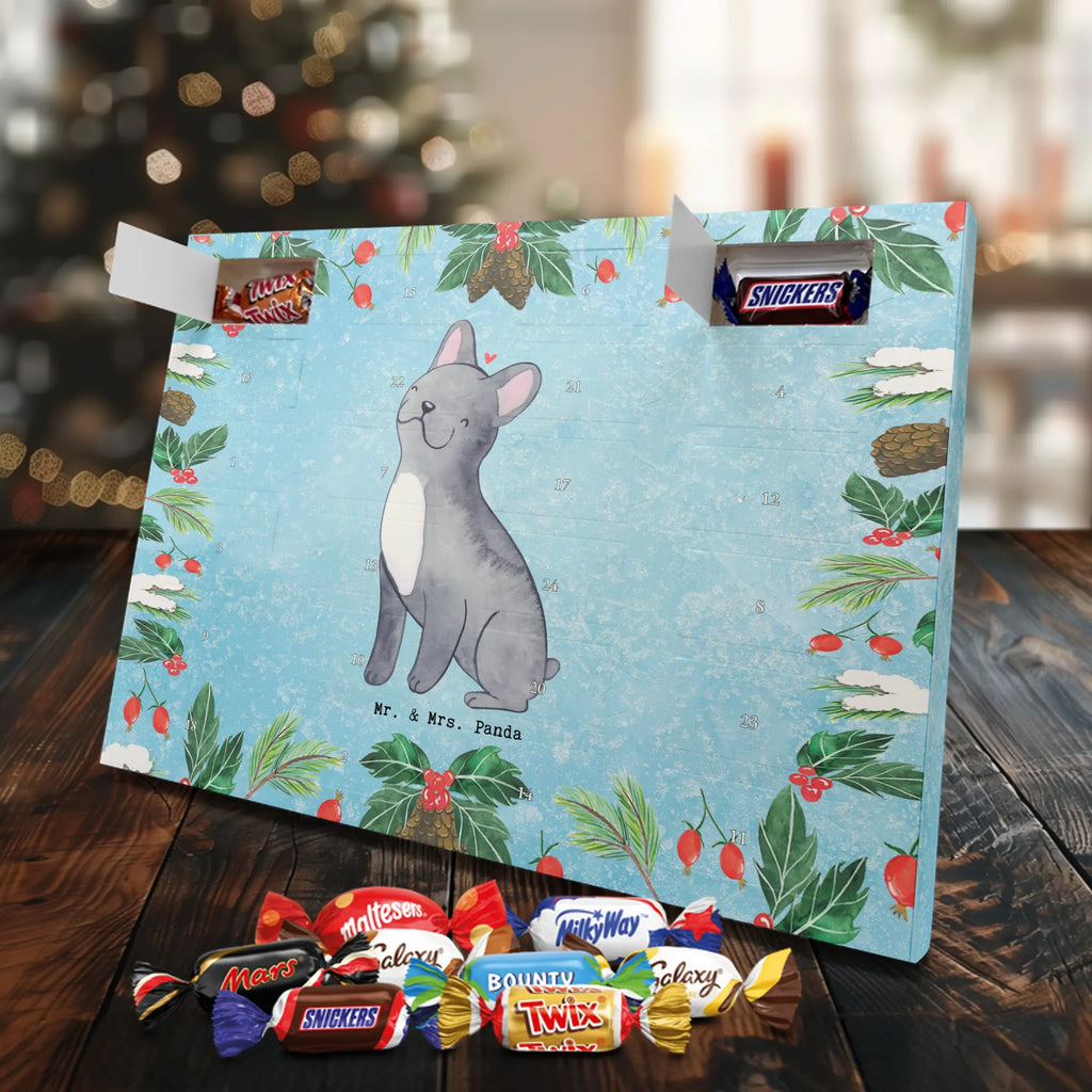 Chocolate advent calendar French Bulldog Moment puppy, dog owner, purebred dog, dog breed, giving, animal lover, gift