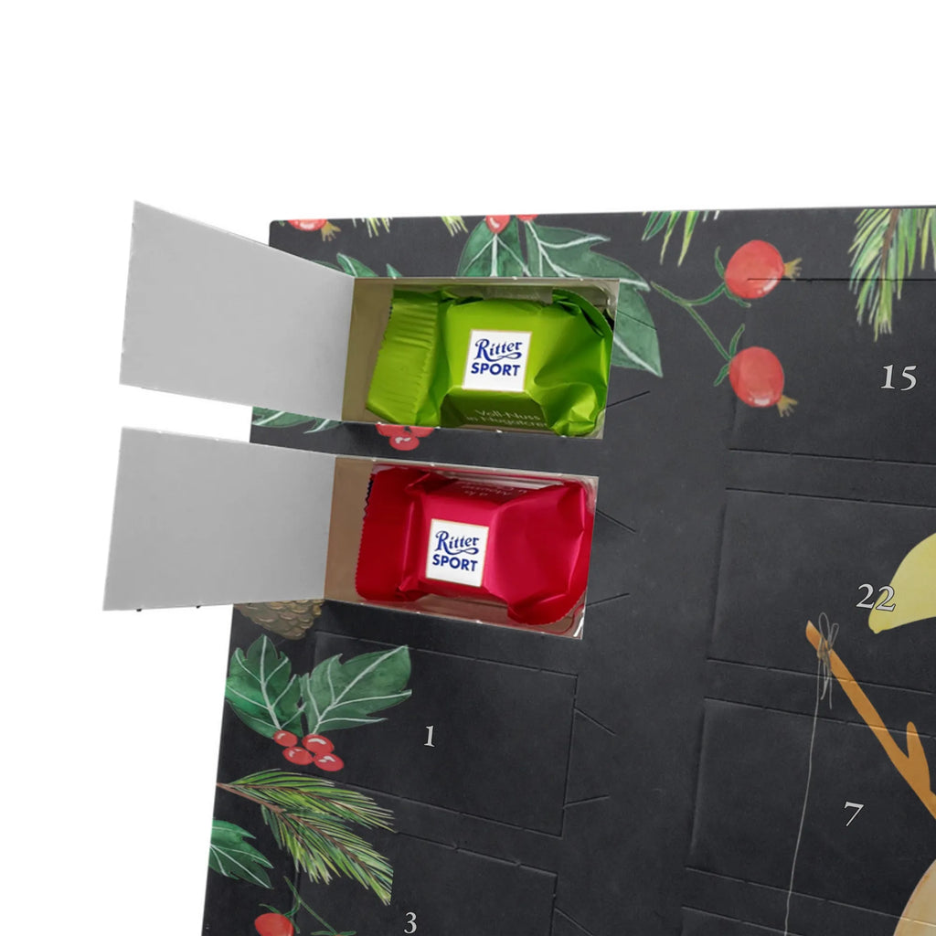 Chocolate advent calendar Penguin moon North Pole, Penguins, bedroom, night's rest, falling asleep, insomnia, guest room, sleep, penguins, saying