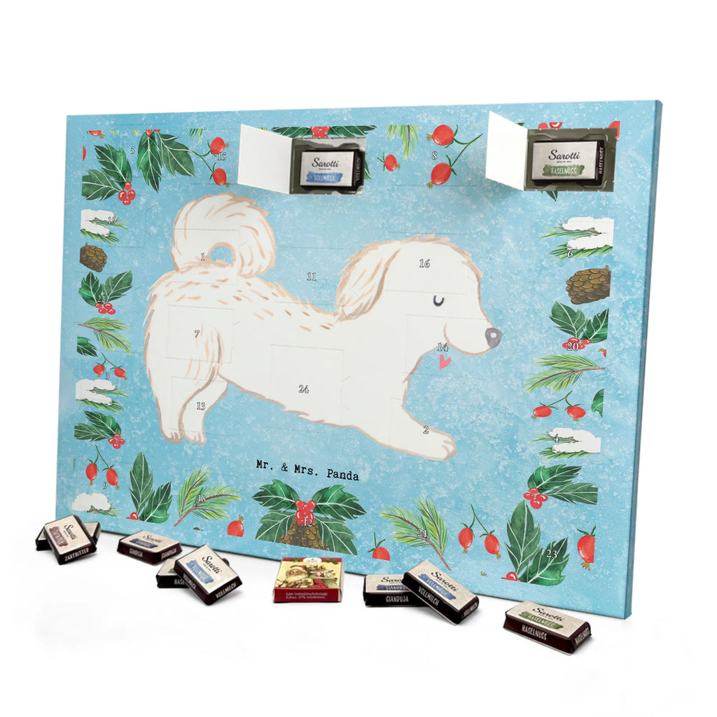 Chocolate advent calendar Maltipoo Moment puppy, dog owner, purebred dog, dog breed, giving, animal lover, gift