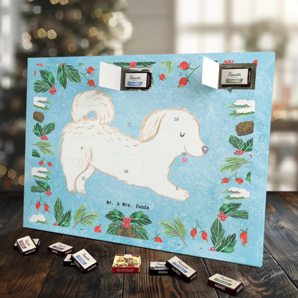 Chocolate advent calendar Maltipoo Moment puppy, dog owner, purebred dog, dog breed, giving, animal lover, gift