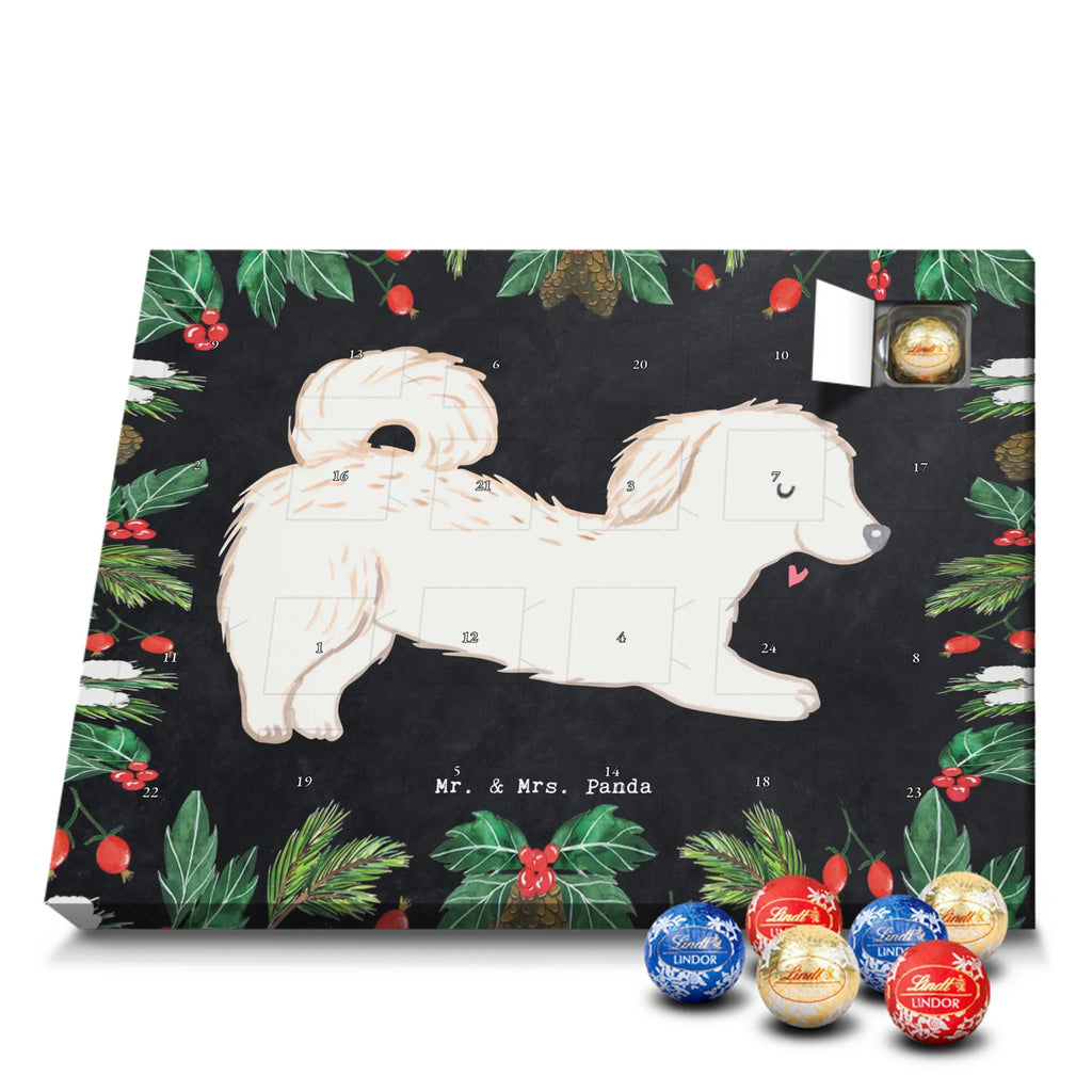 Chocolate advent calendar Maltipoo Moment puppy, dog owner, purebred dog, dog breed, giving, animal lover, gift
