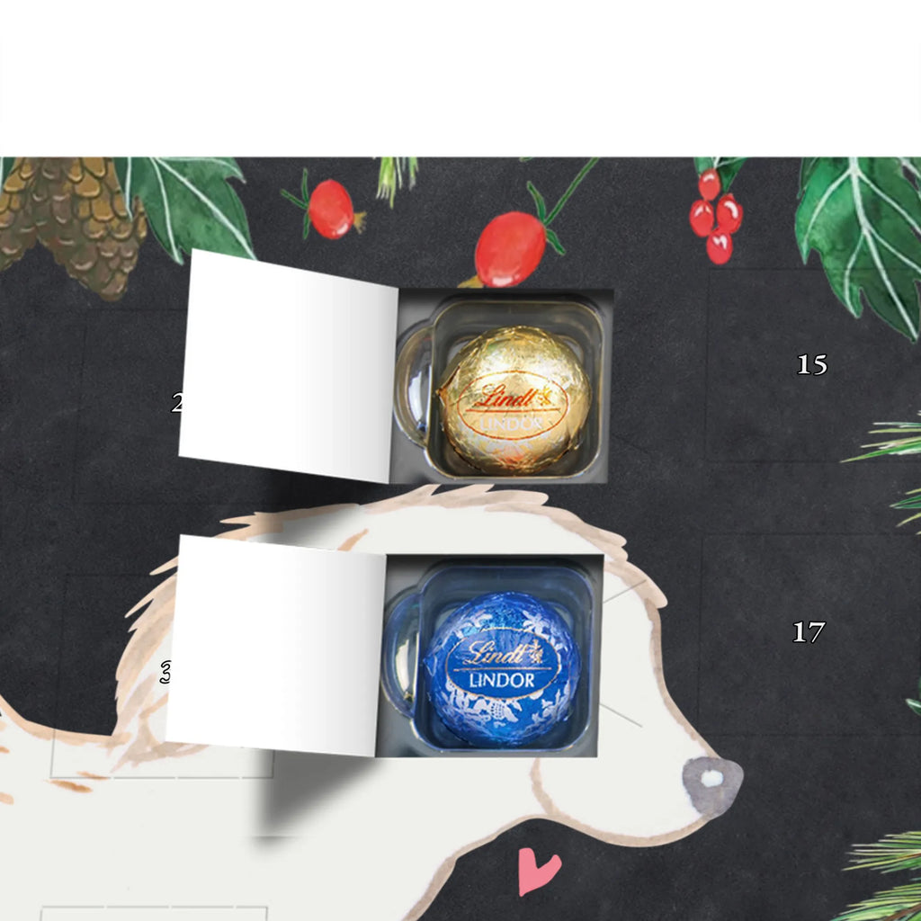 Chocolate advent calendar Maltipoo Moment puppy, dog owner, purebred dog, dog breed, giving, animal lover, gift