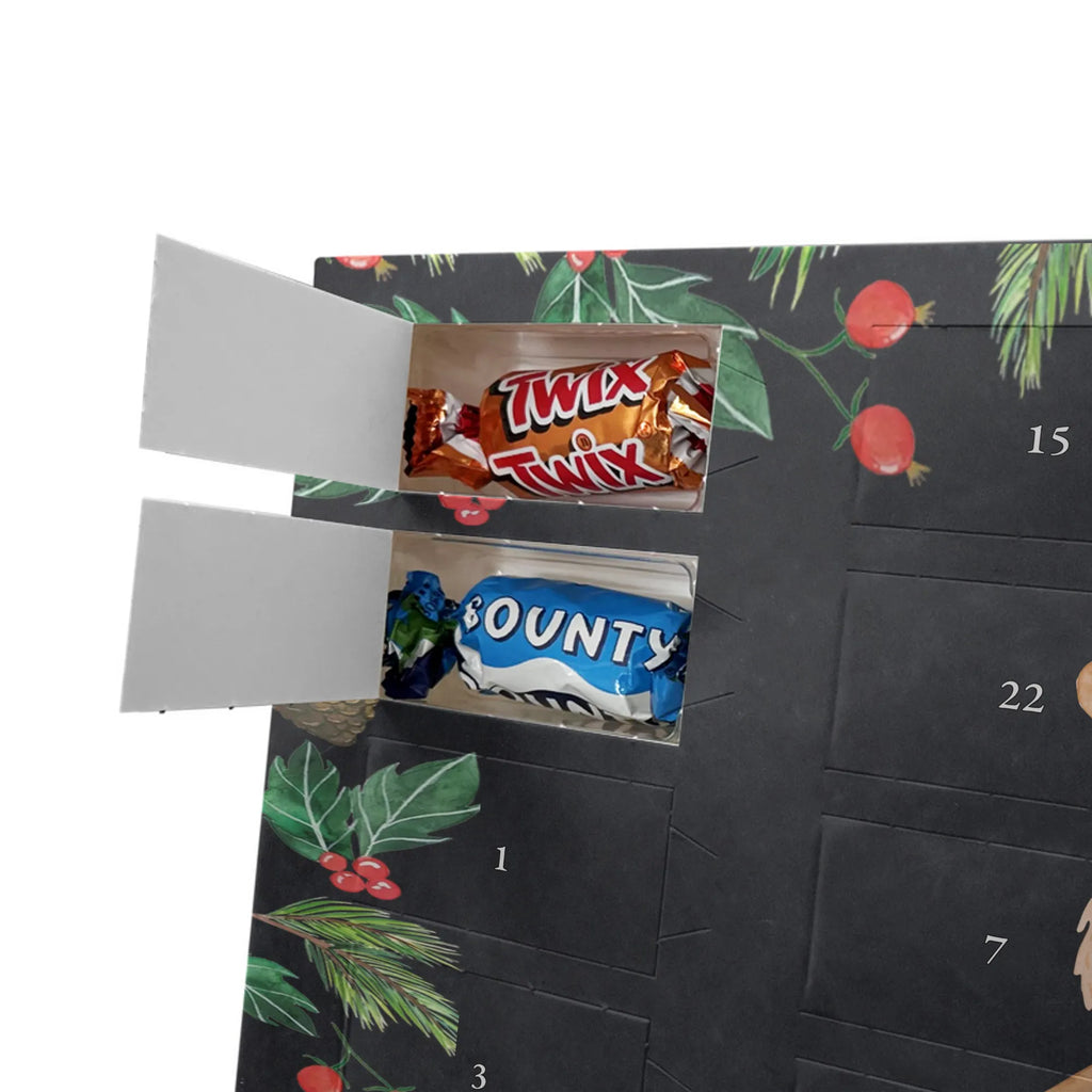 Chocolate advent calendar lama Jump Llama, alpaca, trendy animal, favourite day, graduation, luck, heartache, new start, good morning, llamas, exam, girlfriend