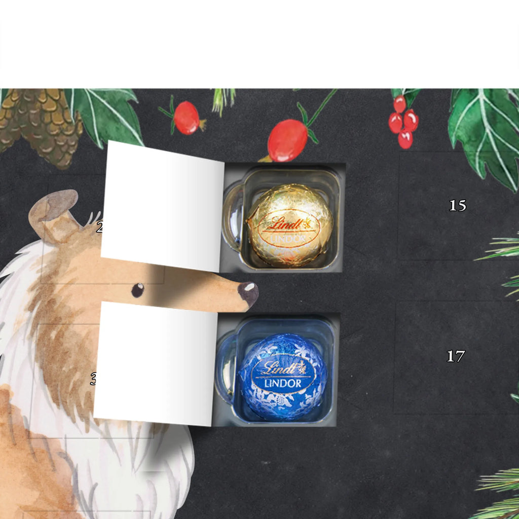 Chocolate advent calendar Long-haired Collie Moment puppy, dog owner, purebred dog, dog breed, giving, animal lover, gift