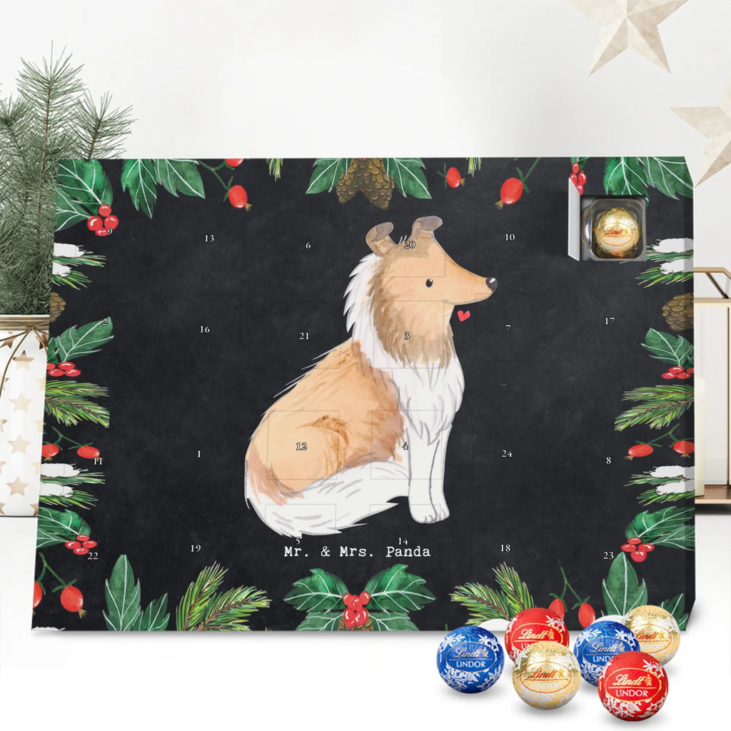 Chocolate advent calendar Long-haired Collie Moment puppy, dog owner, purebred dog, dog breed, giving, animal lover, gift