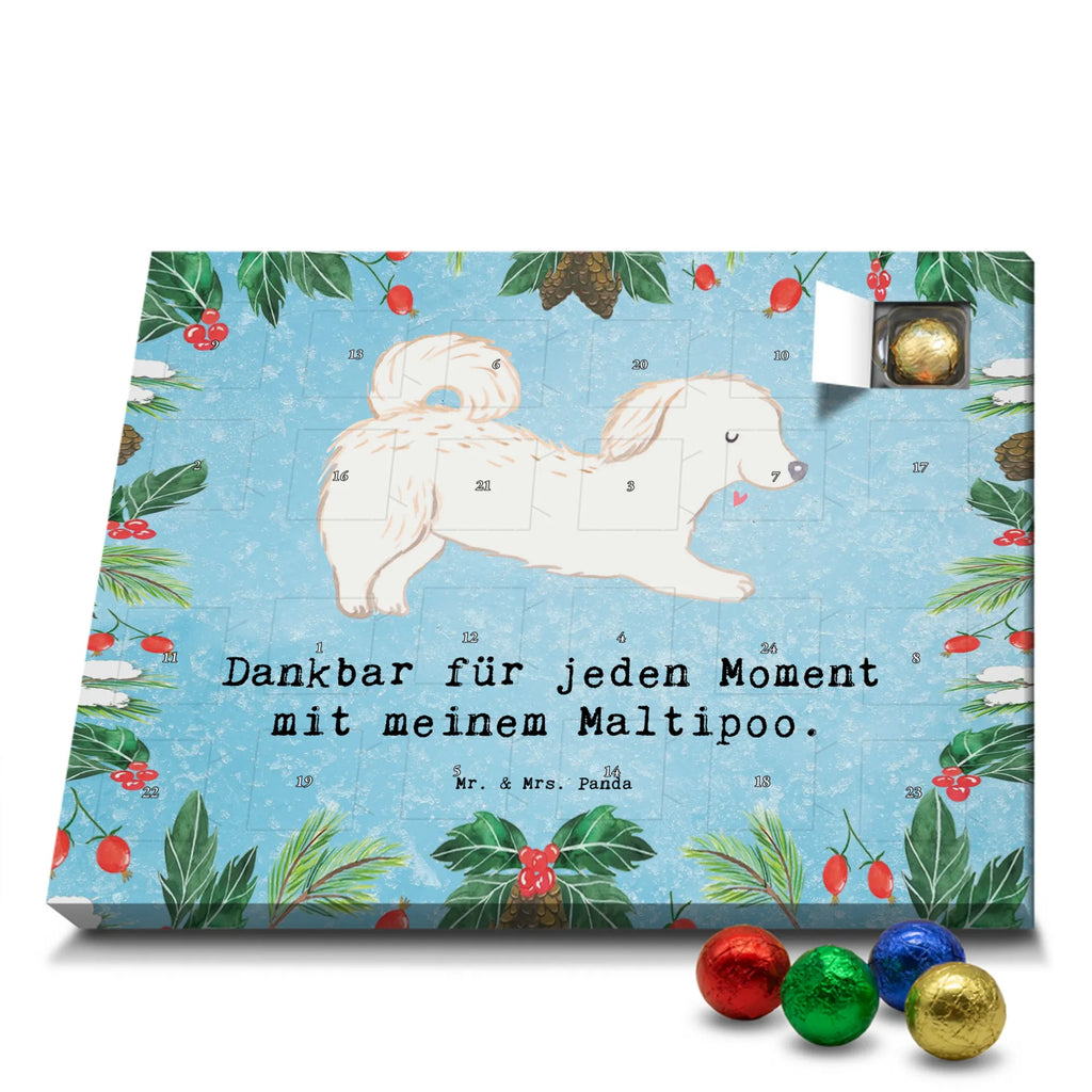Chocolate advent calendar Maltipoo Moment puppy, dog owner, purebred dog, dog breed, giving, animal lover, gift