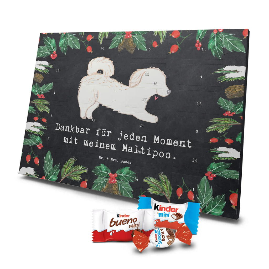 Chocolate advent calendar Maltipoo Moment puppy, dog owner, purebred dog, dog breed, giving, animal lover, gift