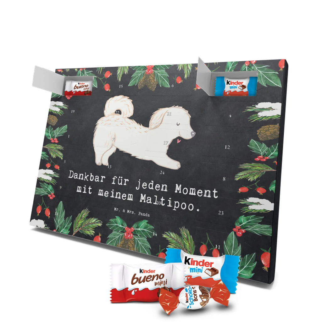 Chocolate advent calendar Maltipoo Moment puppy, dog owner, purebred dog, dog breed, giving, animal lover, gift