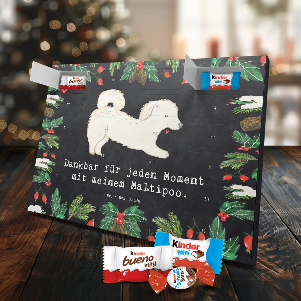 Chocolate advent calendar Maltipoo Moment puppy, dog owner, purebred dog, dog breed, giving, animal lover, gift