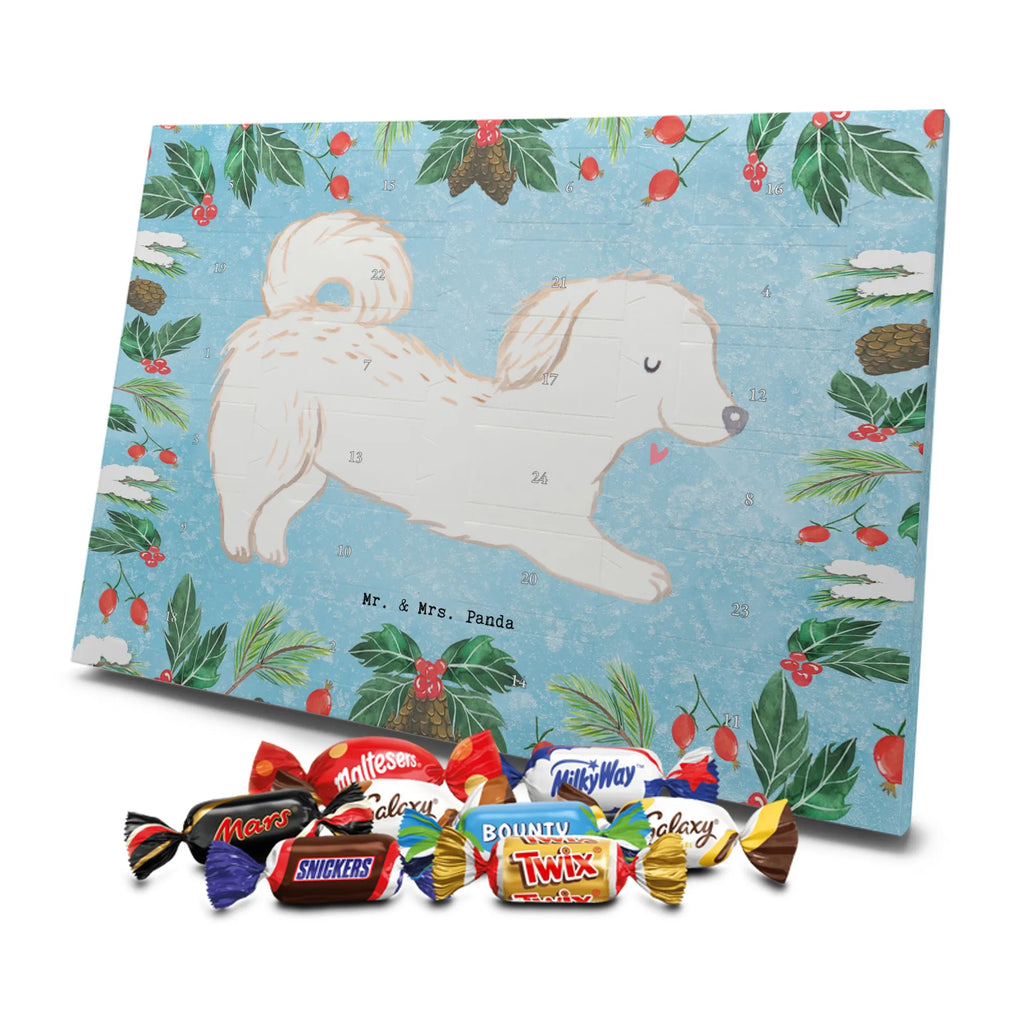 Chocolate advent calendar Maltipoo Moment puppy, dog owner, purebred dog, dog breed, giving, animal lover, gift