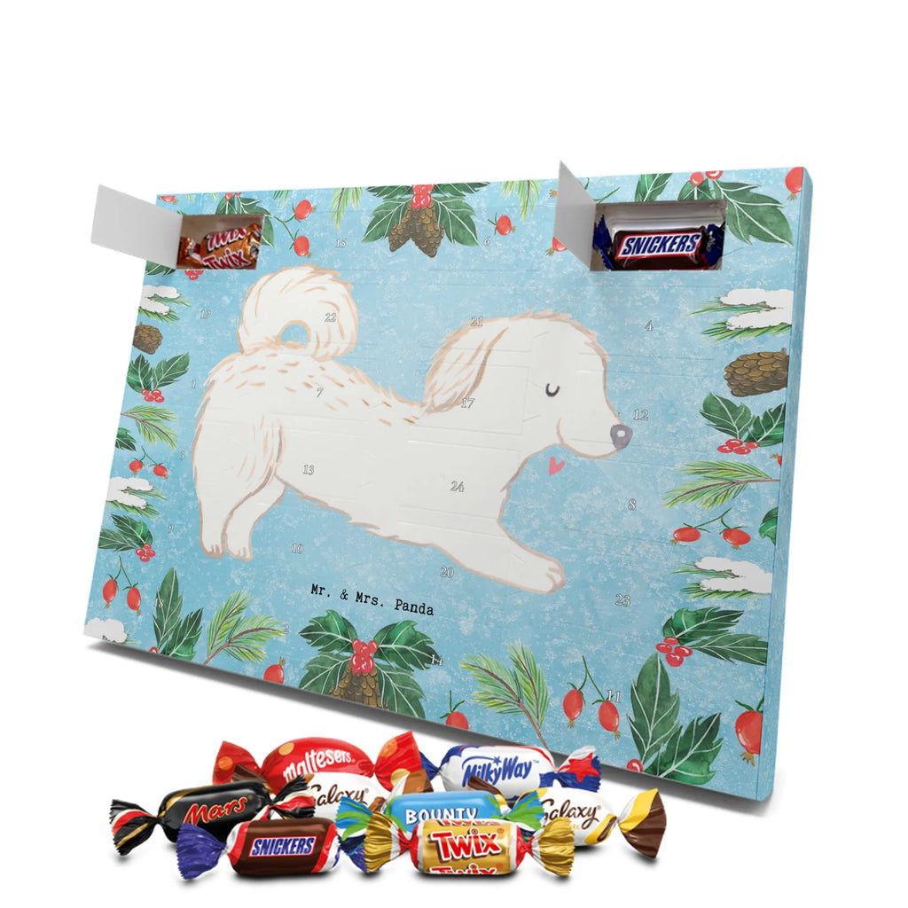 Chocolate advent calendar Maltipoo Moment puppy, dog owner, purebred dog, dog breed, giving, animal lover, gift